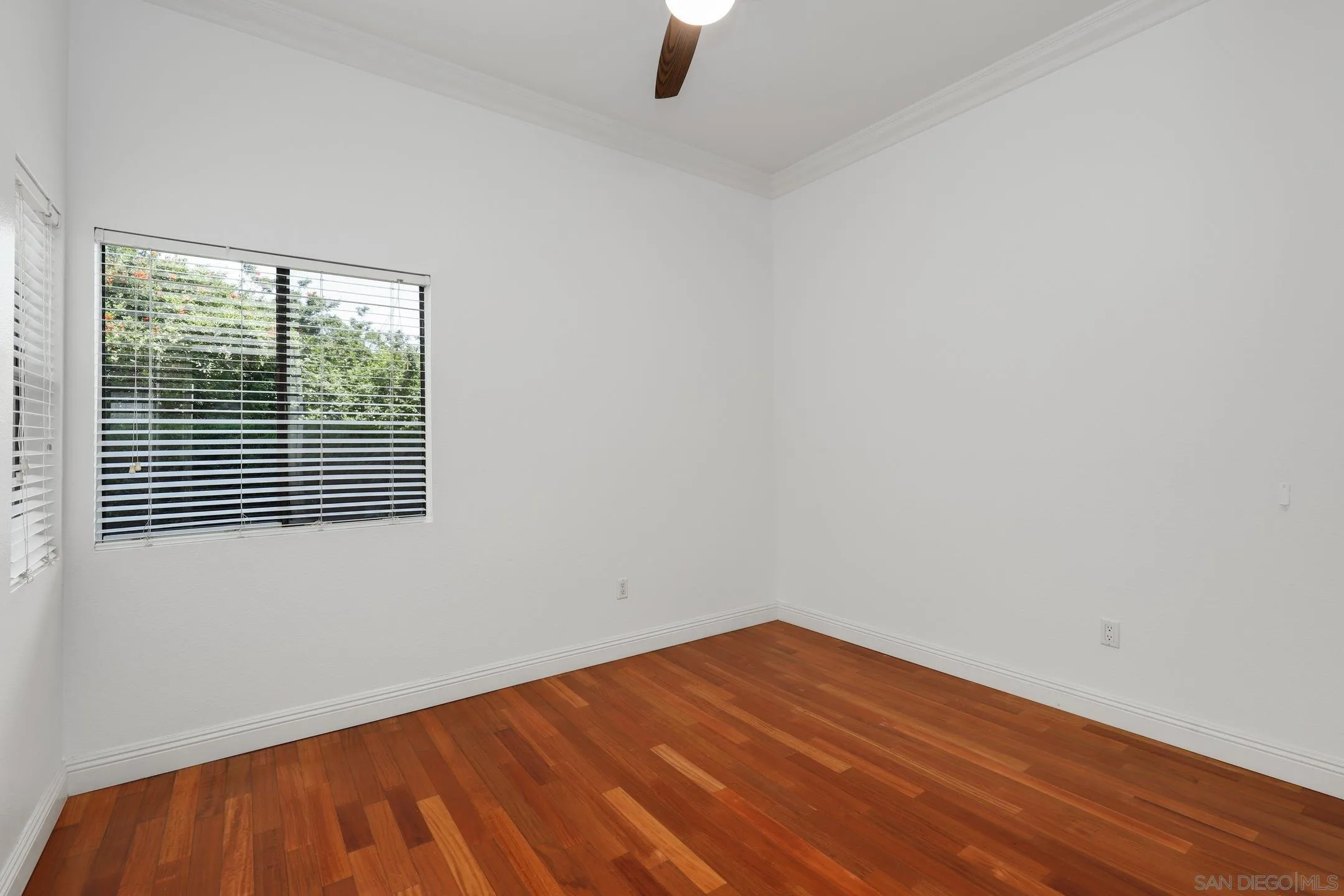 Photo #13: 250033554 Listing: Photo #13