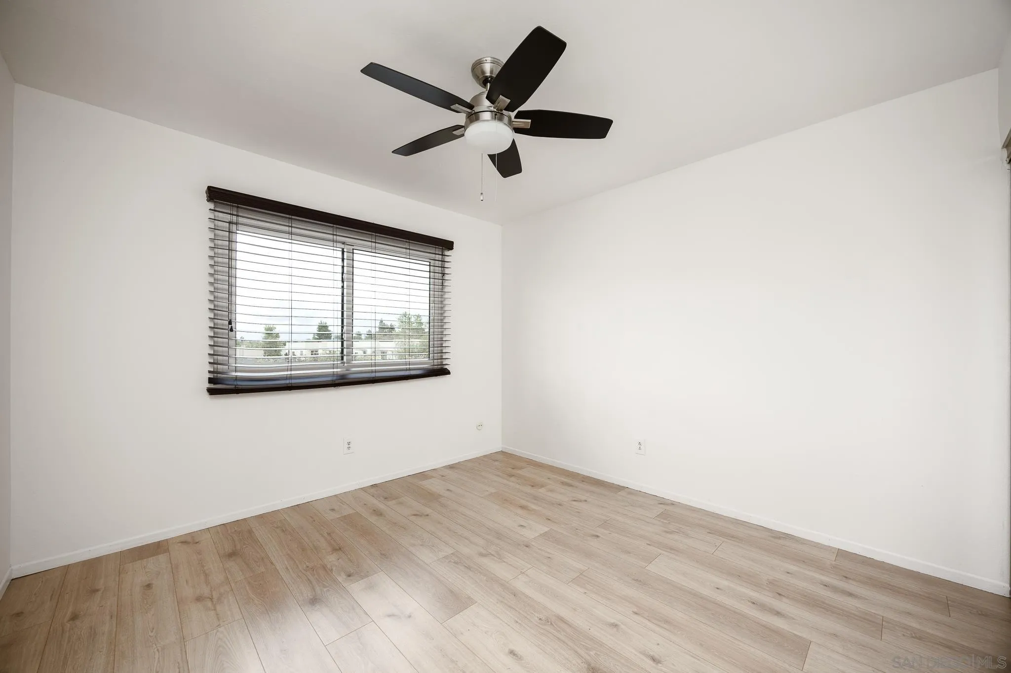 Photo #24: 250033613 Listing: Photo #24