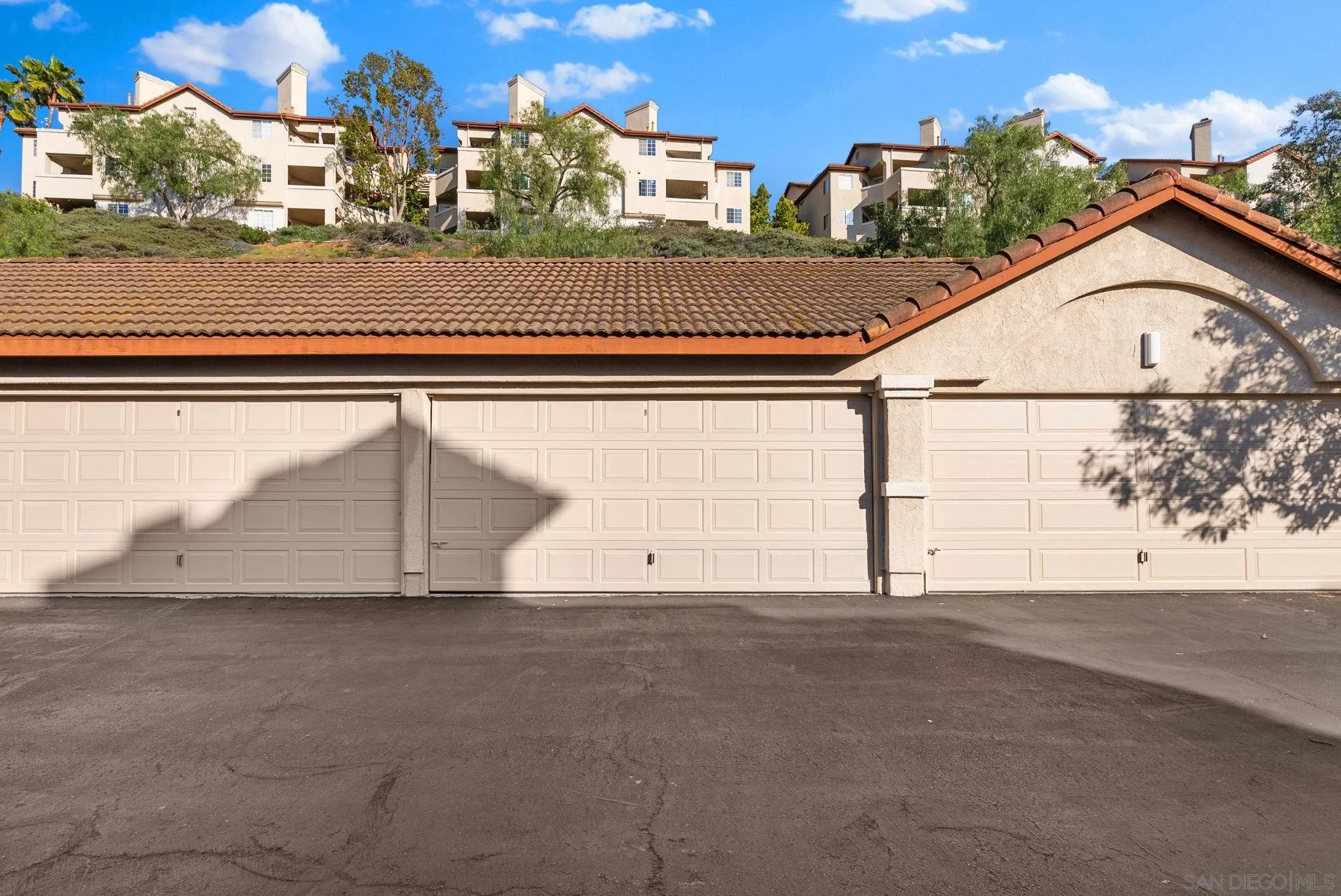 Photo #20: 250033654 Listing: Photo #20