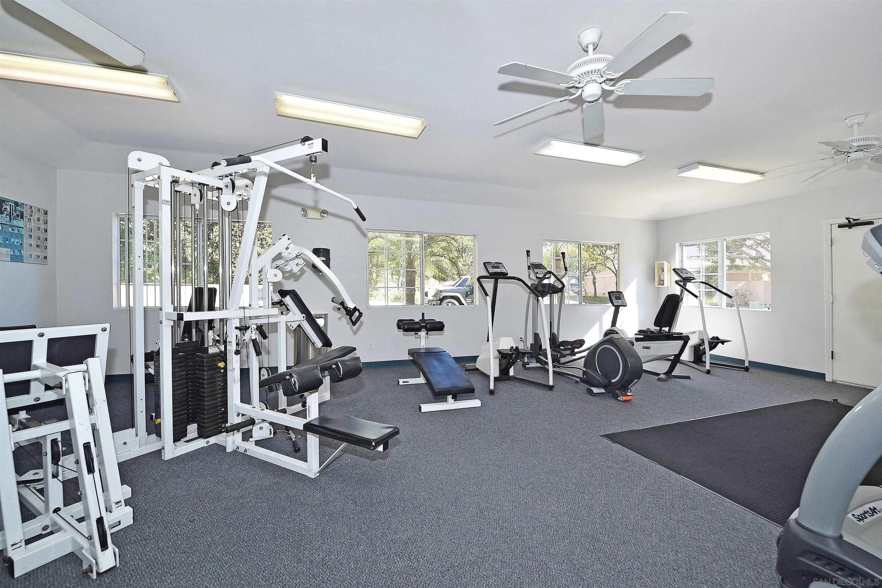 Photo #41: 250033723 Listing: Photo #41