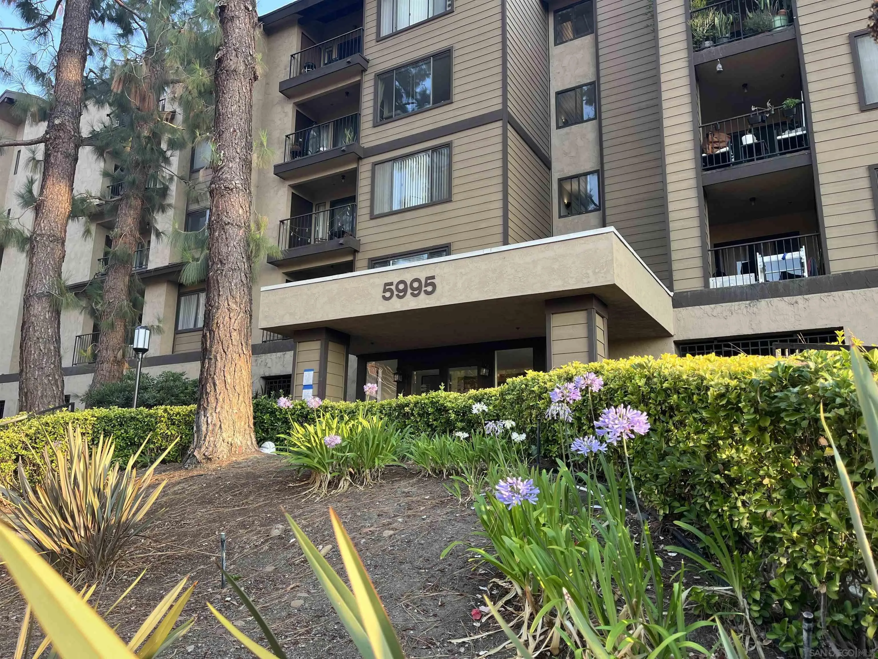 COLLEGE GROVE Condos Condos For Sale