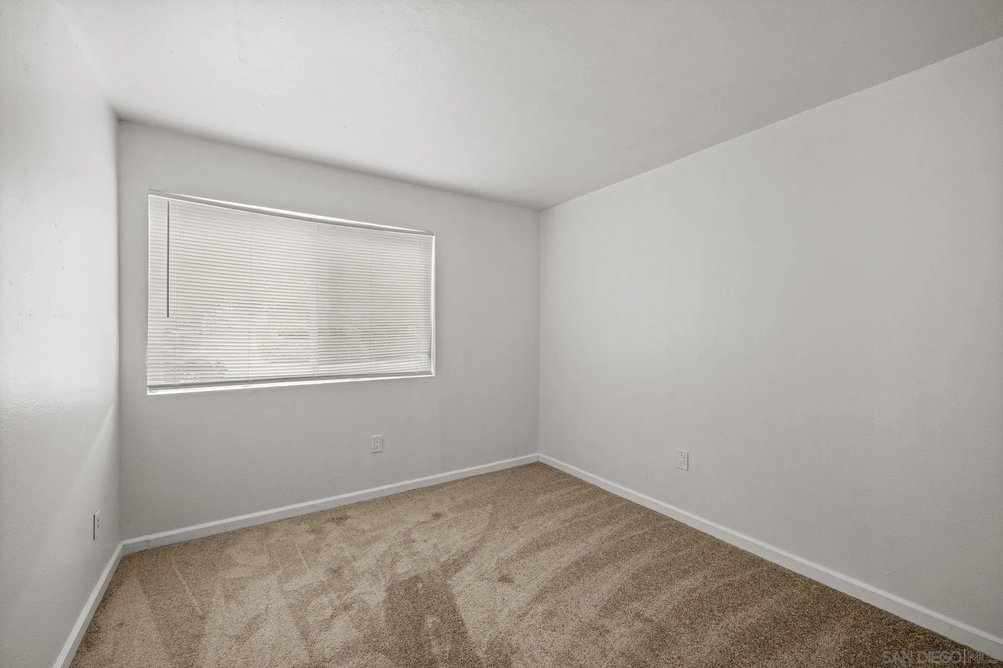 Photo #23: 250033813 Listing: Photo #23