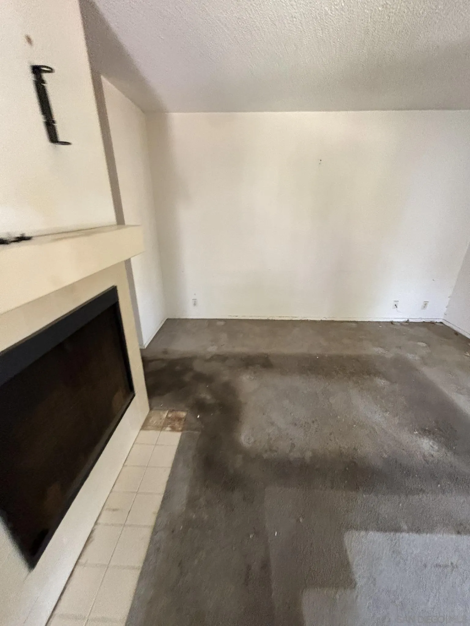 Photo #3: 250033919 Listing 