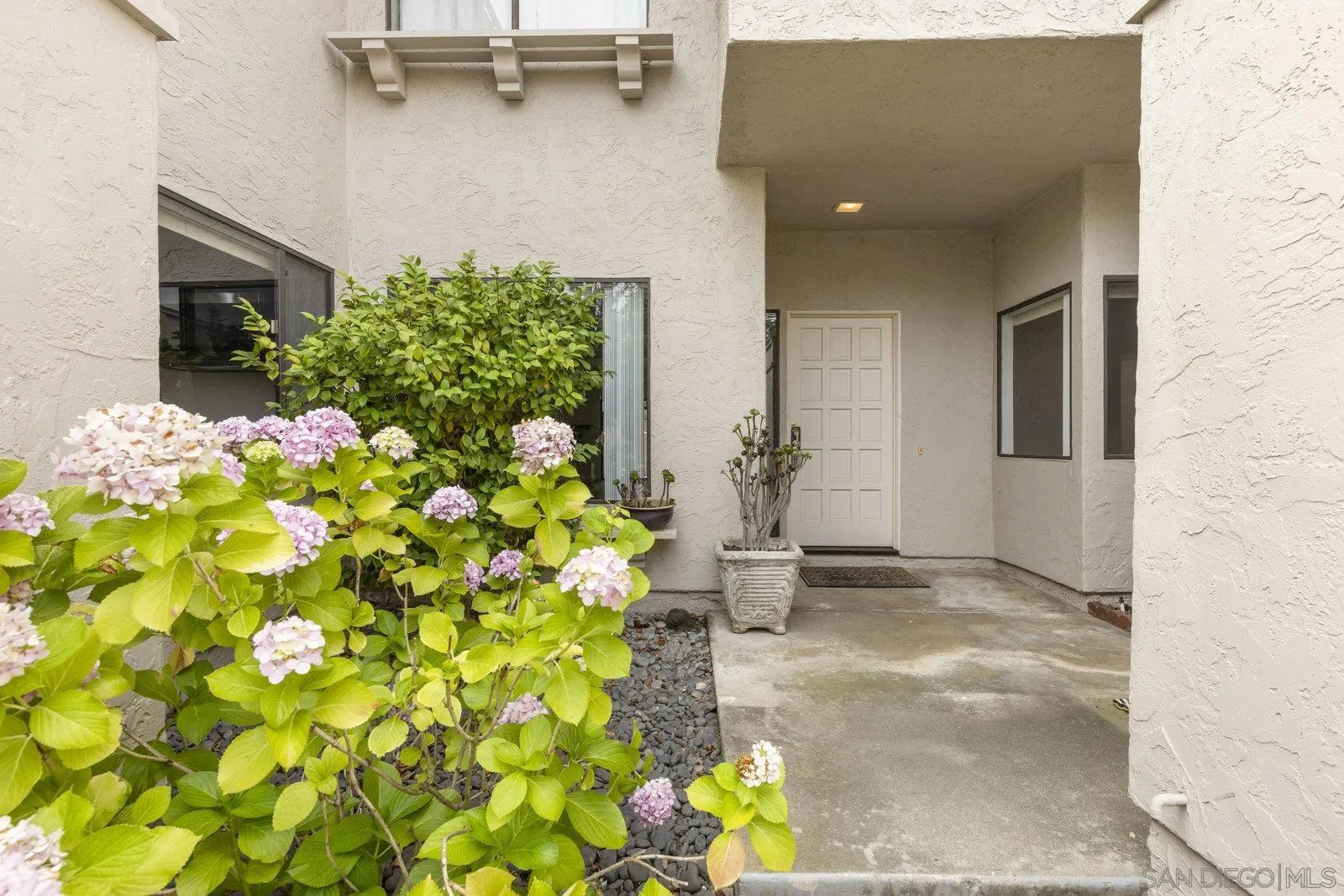 Photo #5: 250033944 Listing 