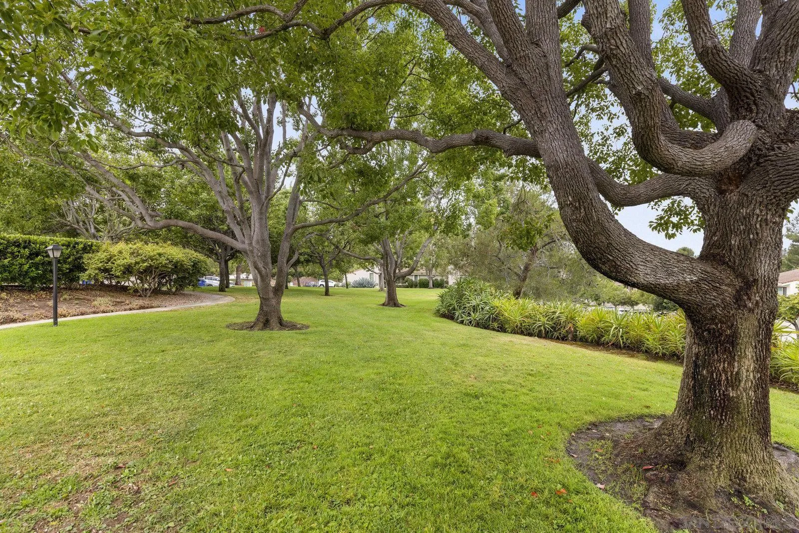 Photo #22: 250033944 Listing: Photo #22