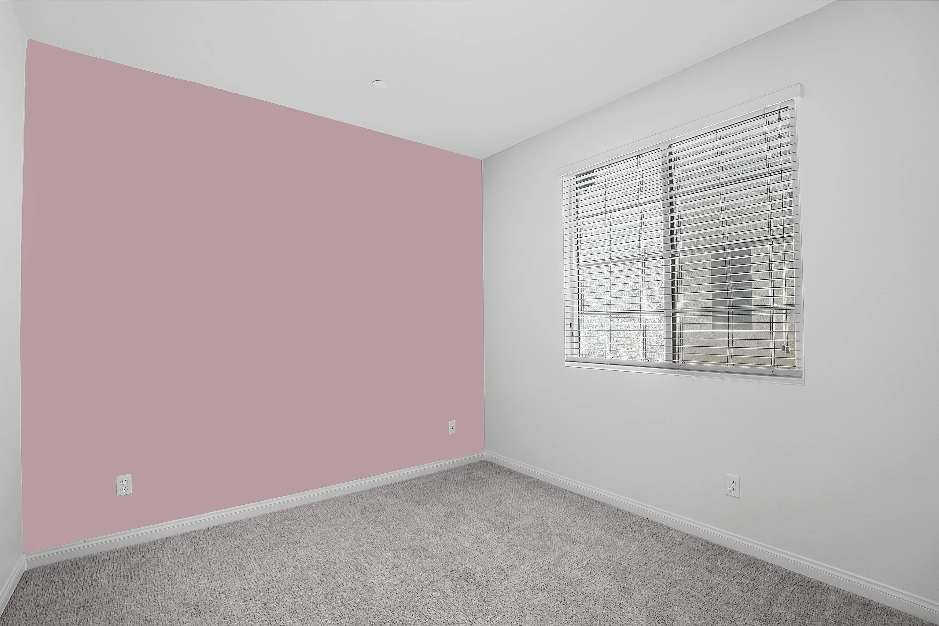 Photo #26: 250033952 Listing: Photo #26