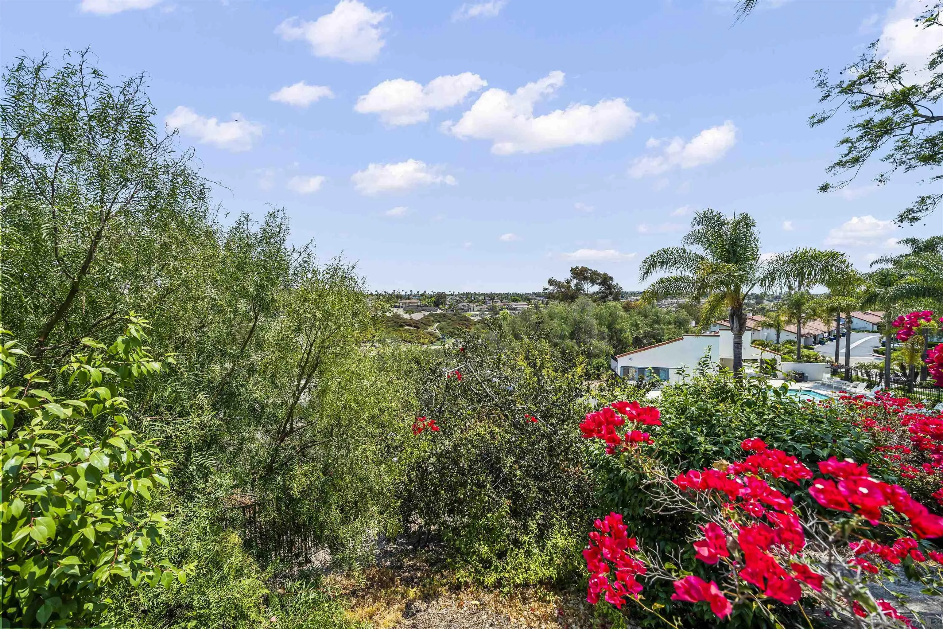 Photo #29: 250033966 Listing: Photo #29