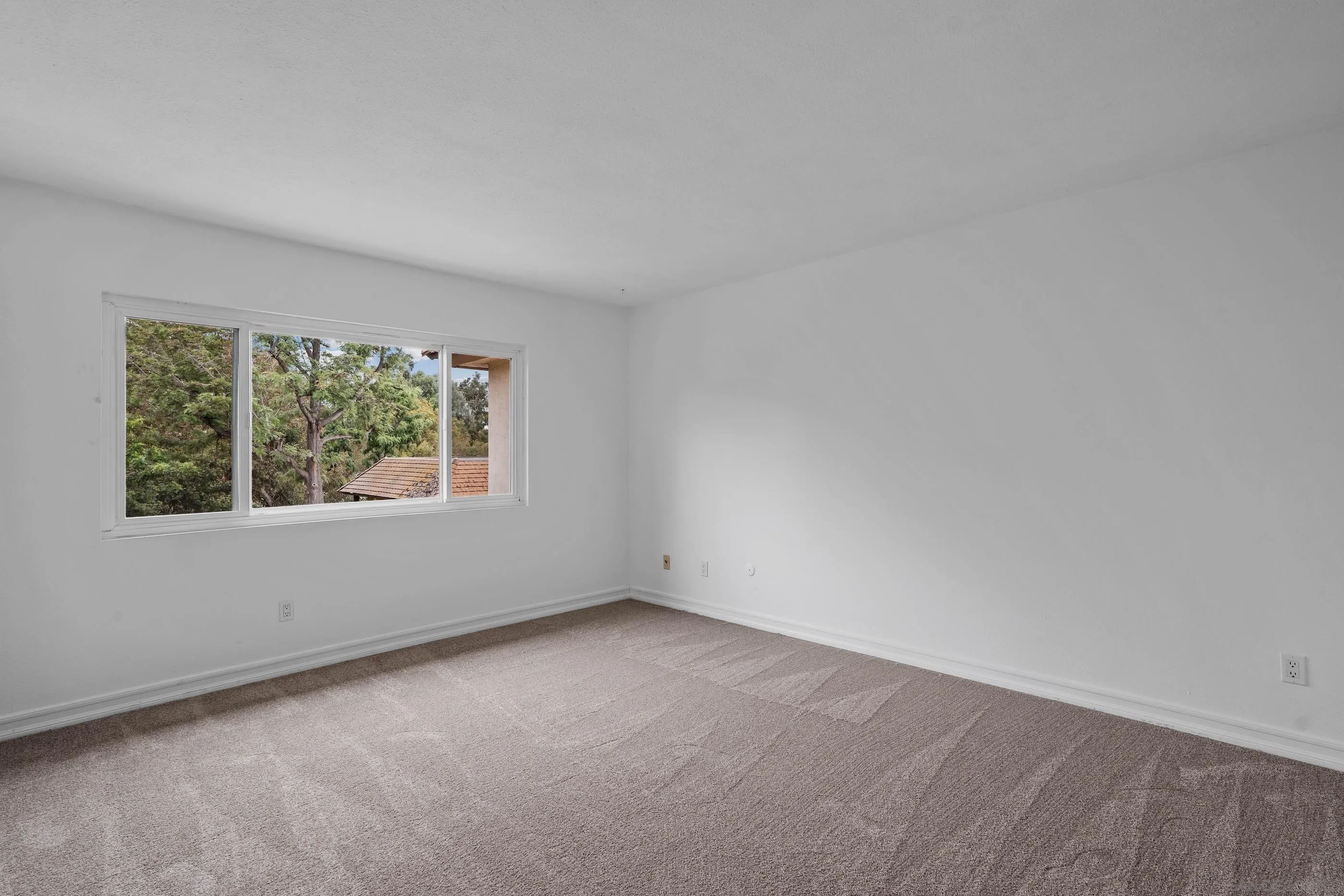 Photo #16: 250033978 Listing: Photo #16