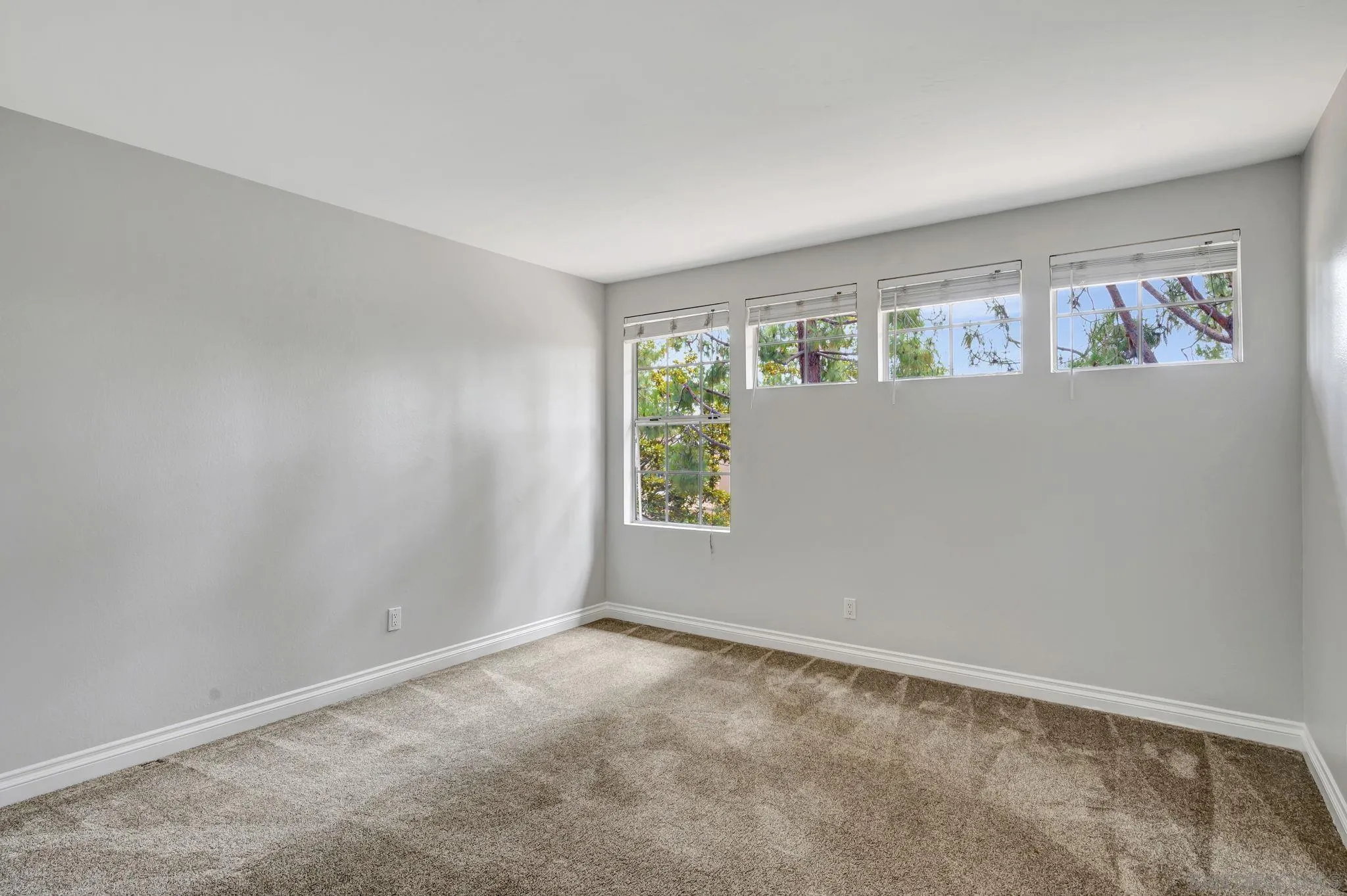 Photo #16: 250034012 Listing: Photo #16