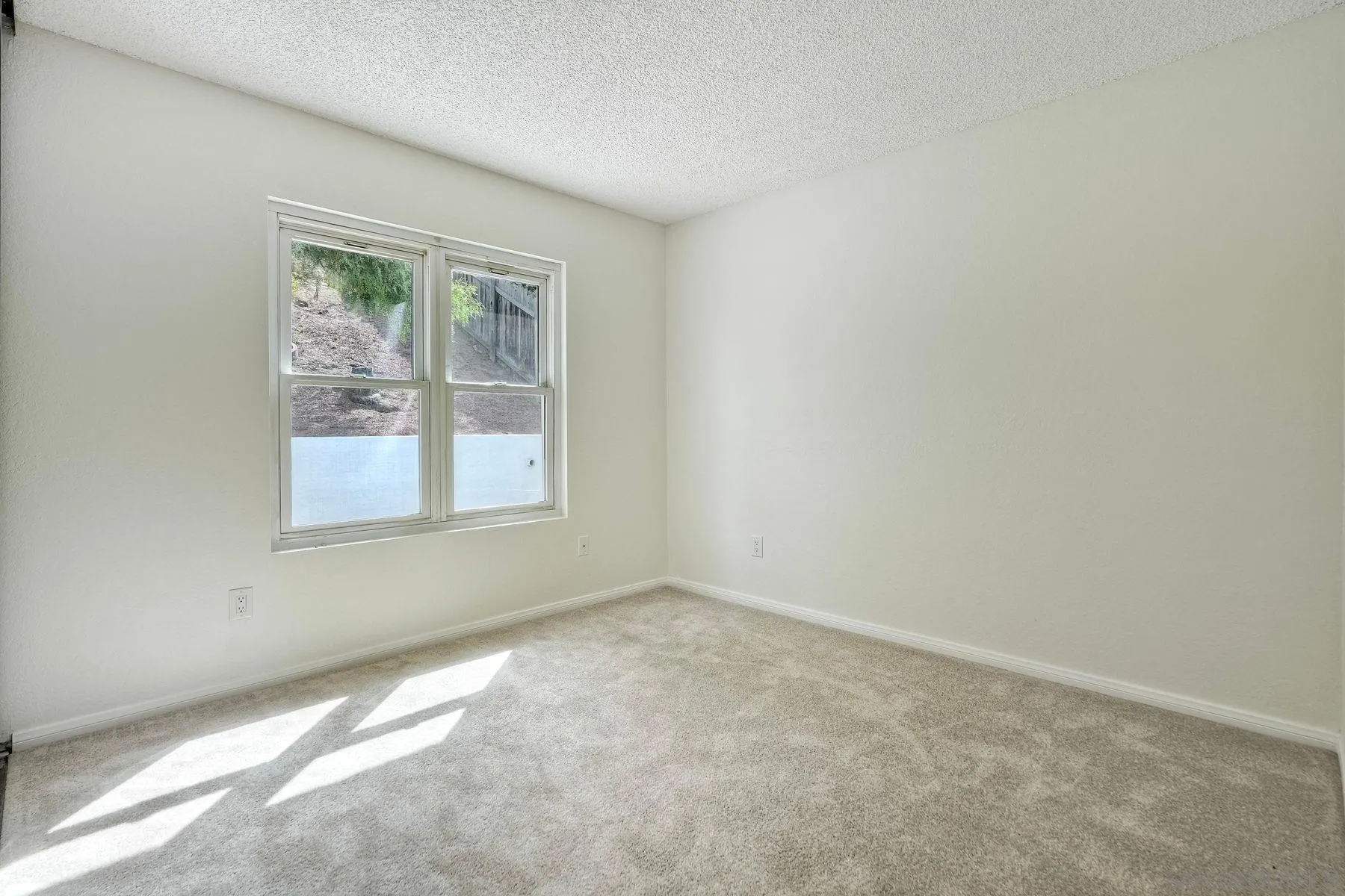 Photo #12: 250034120 Listing: Photo #12
