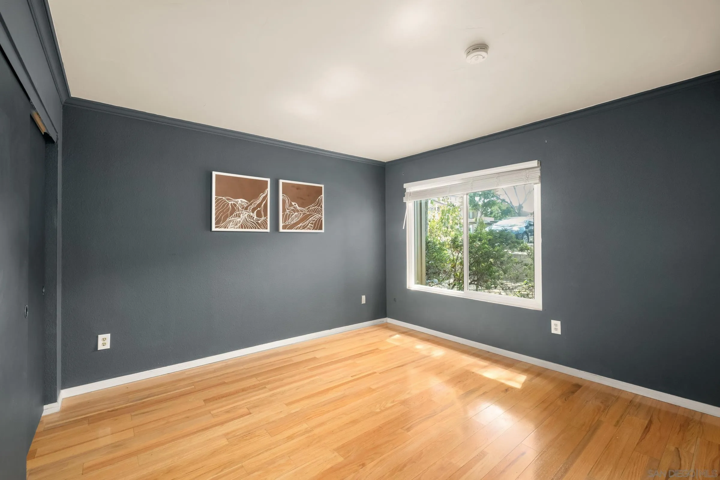 Photo #14: 250034129 Listing: Photo #14