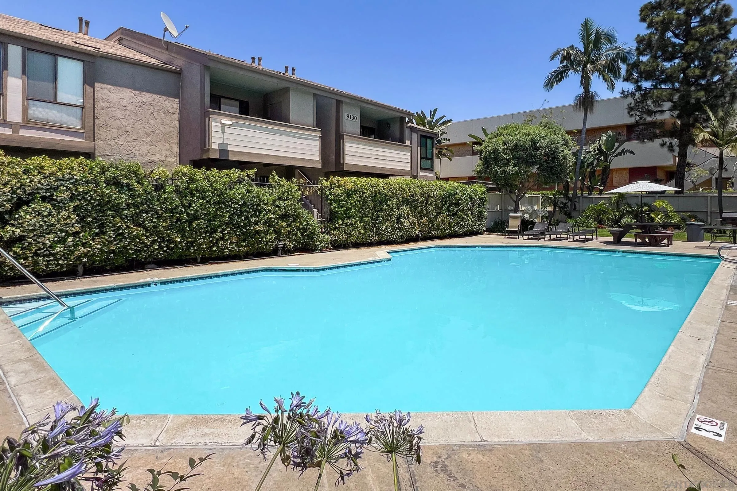 Photo #16: 250034179 Listing: Photo #16