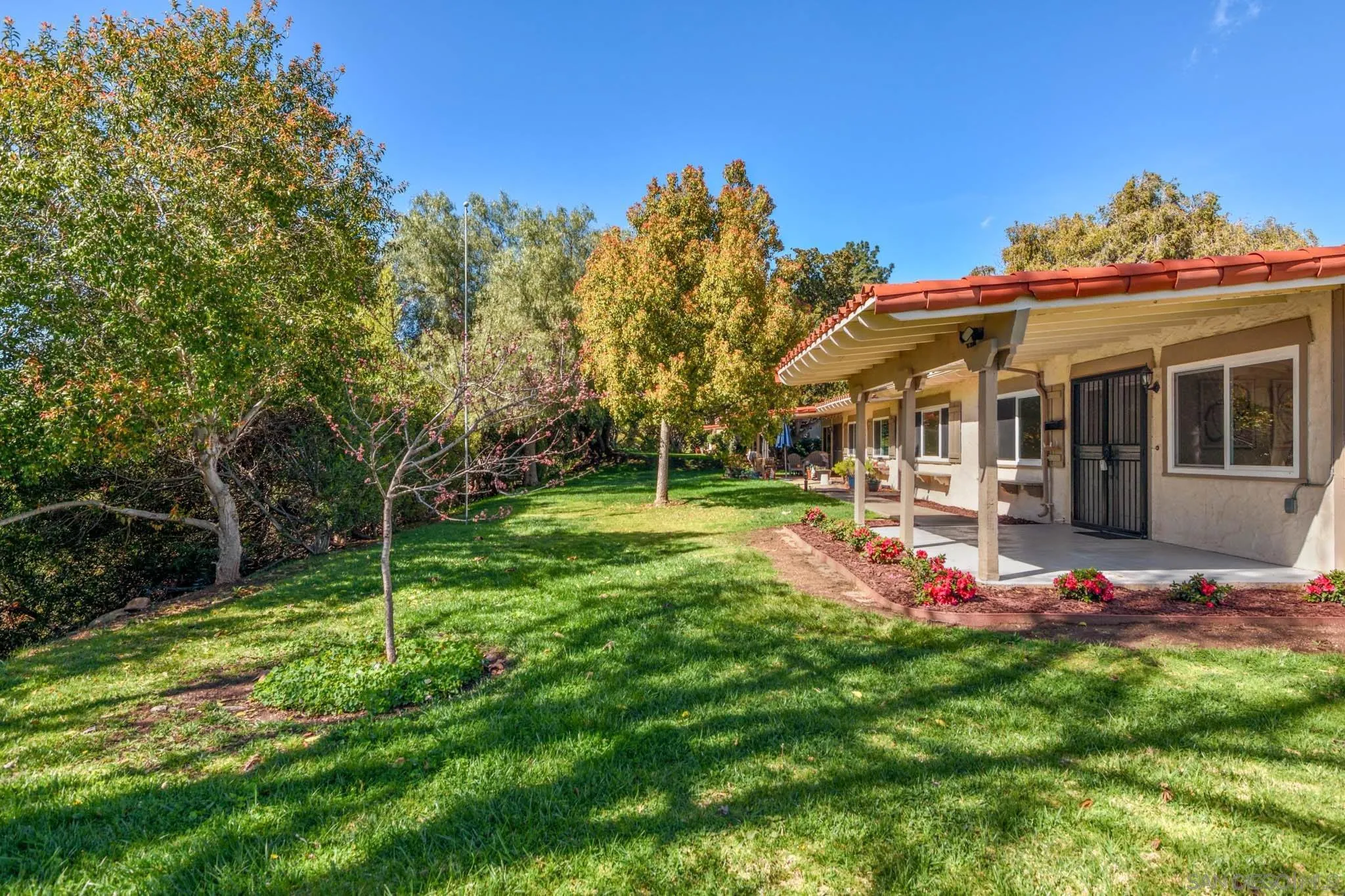 Photo #17: 250034241 Listing: Photo #17