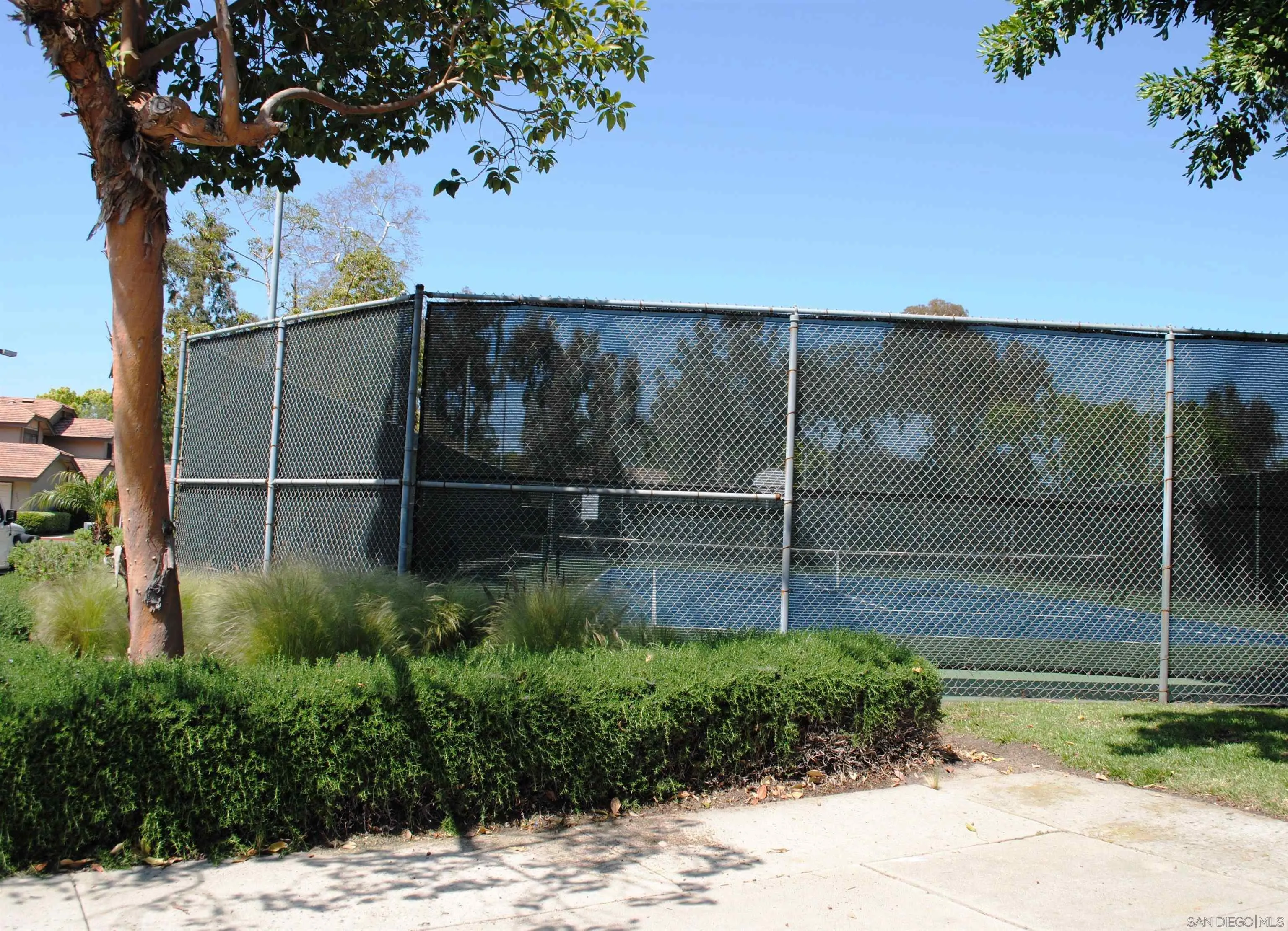 Photo #36: 250034251 Listing: Photo #36