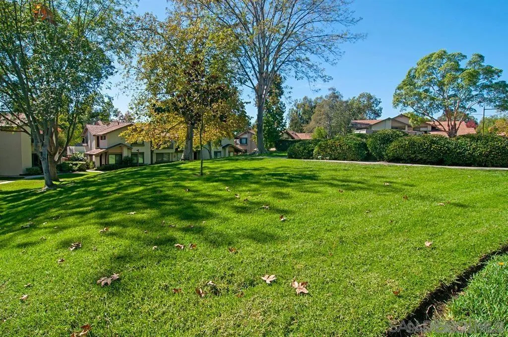 Photo #37: 250034251 Listing: Photo #37