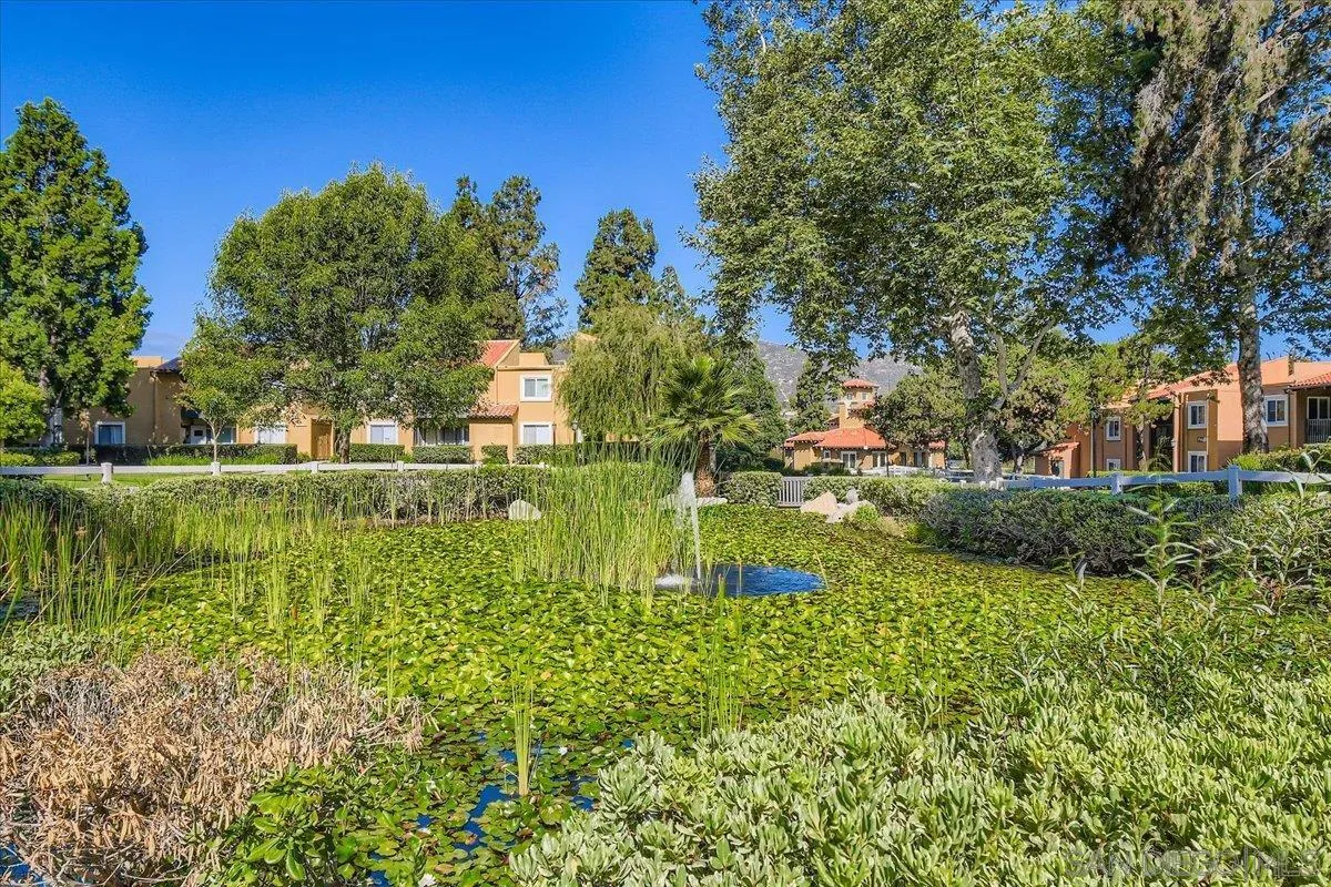Photo #28: 250034383 Listing: Photo #28