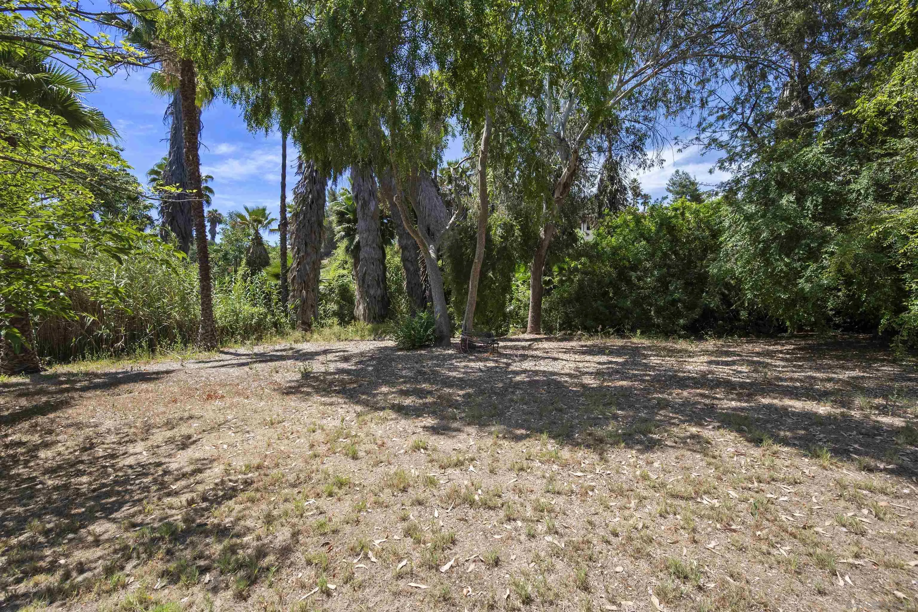 https://cdn.realtyfeed.com/cdn/127/250034394/a68052f24d69a2944774fcf591351254.webp