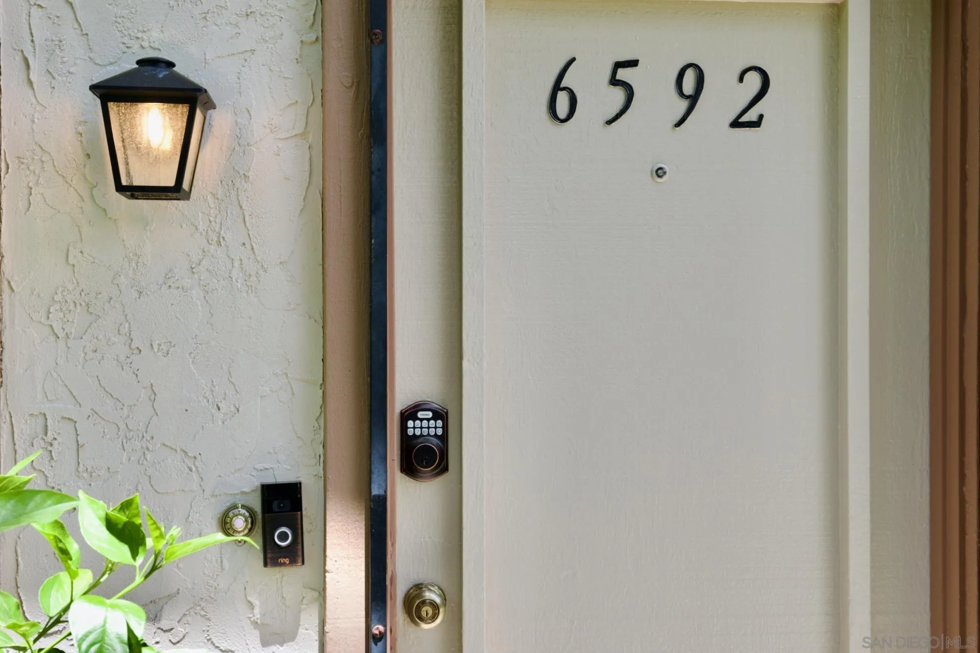 Photo #2: 250034447 Listing 