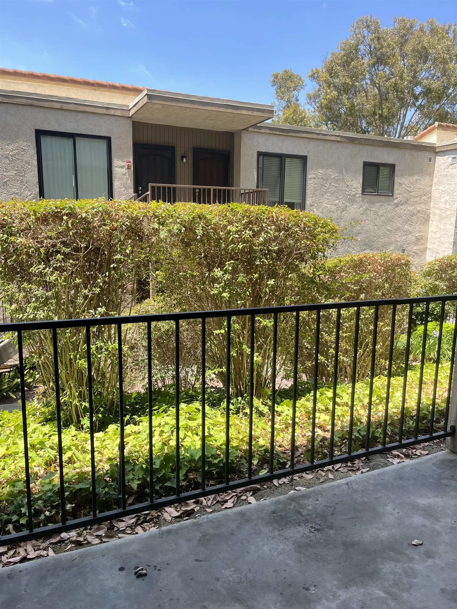 Photo #5: 250034496 Listing 