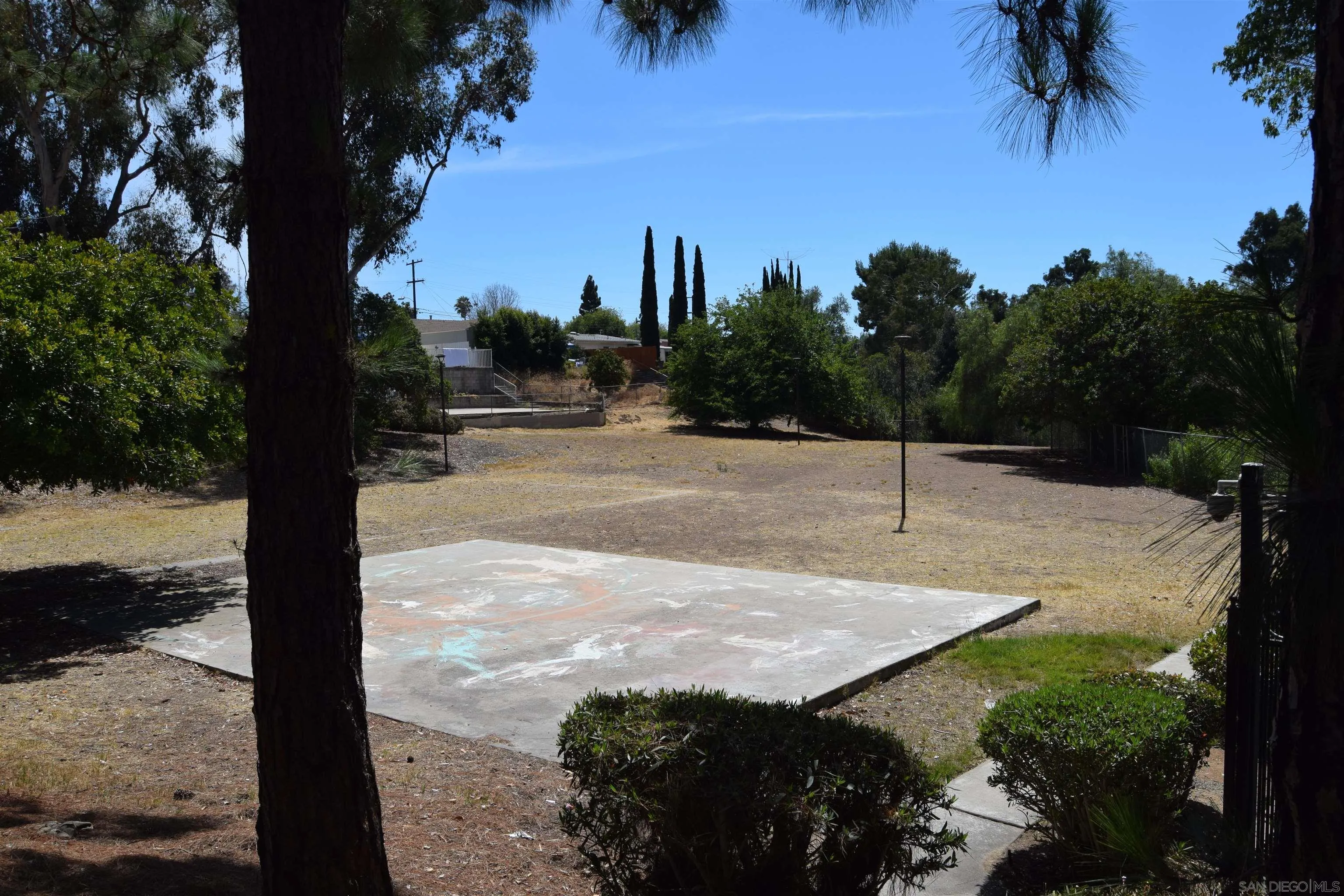 Photo #28: 250034534 Listing: Photo #28