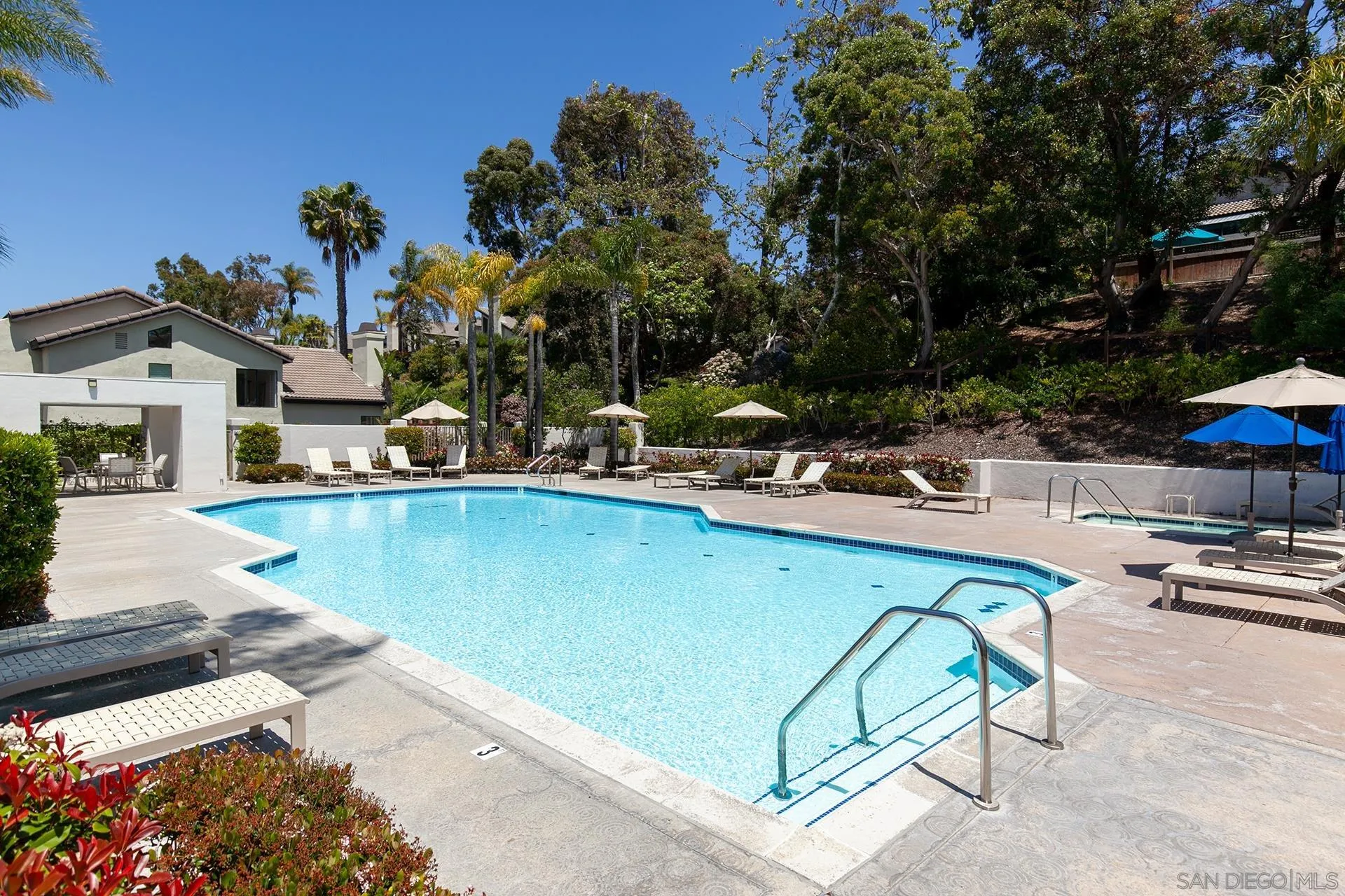 Photo #28: 250034561 Listing: Photo #28