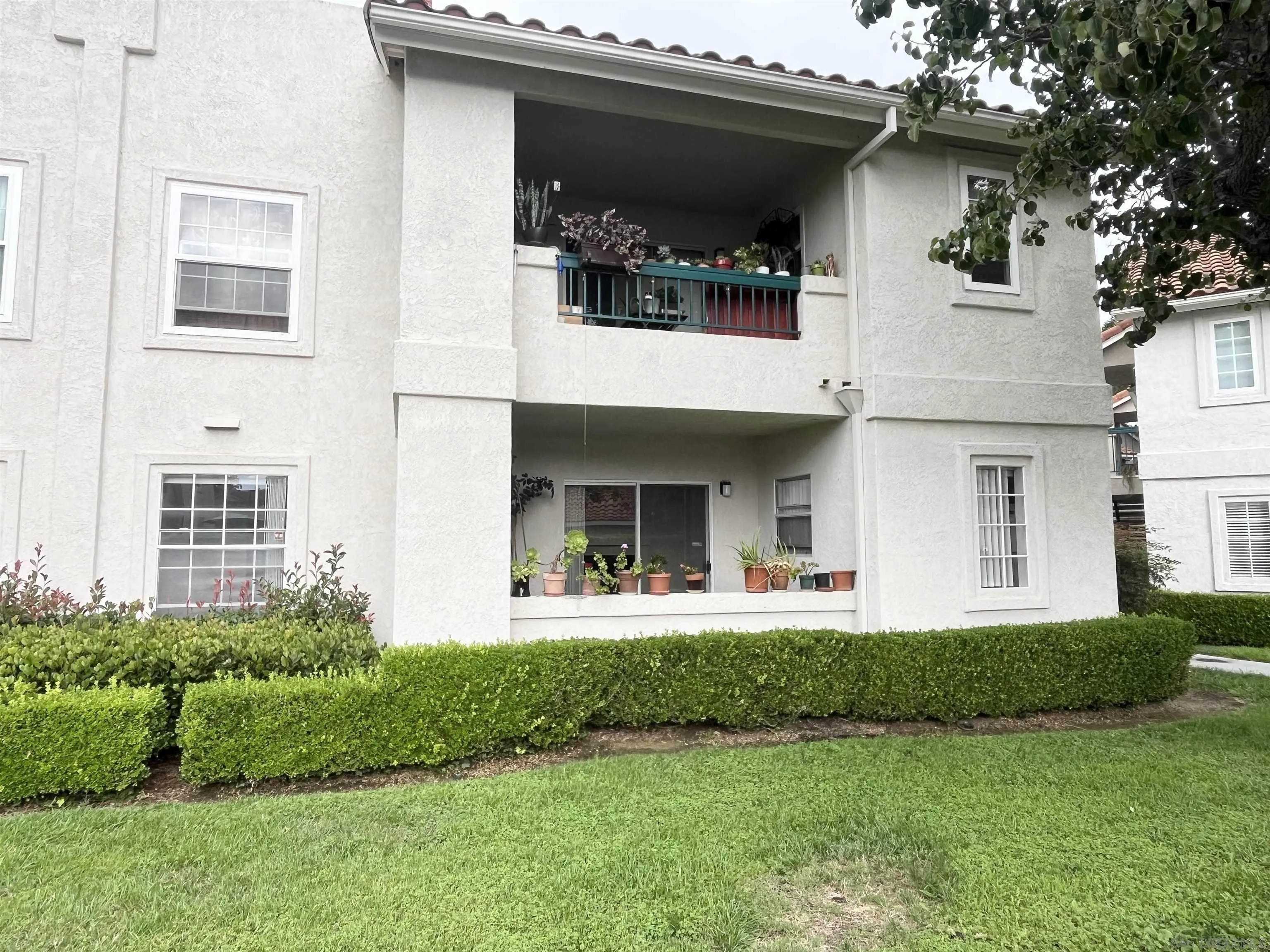 Photo #5: 250034593 Listing 