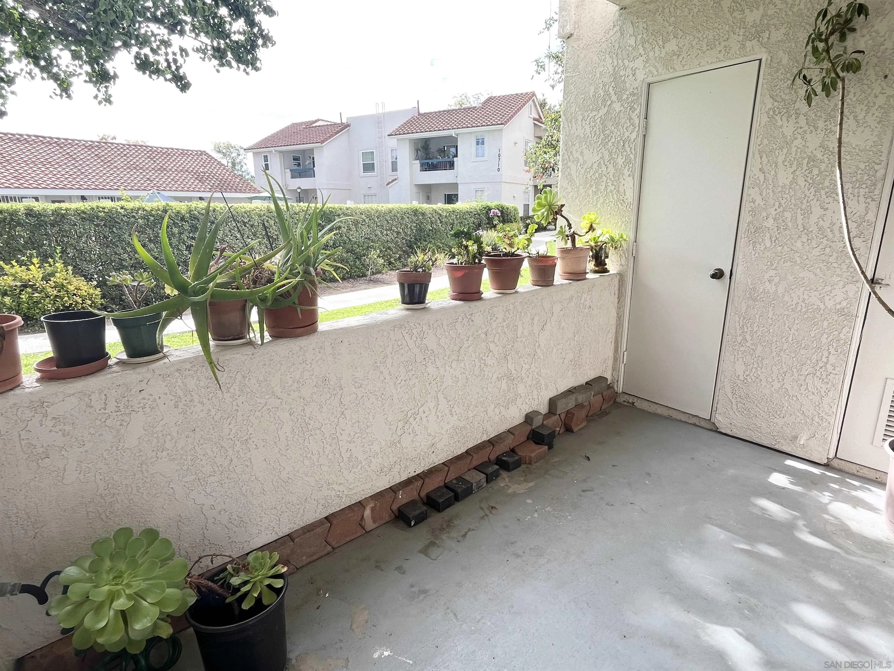 Photo #23: 250034593 Listing: Photo #23
