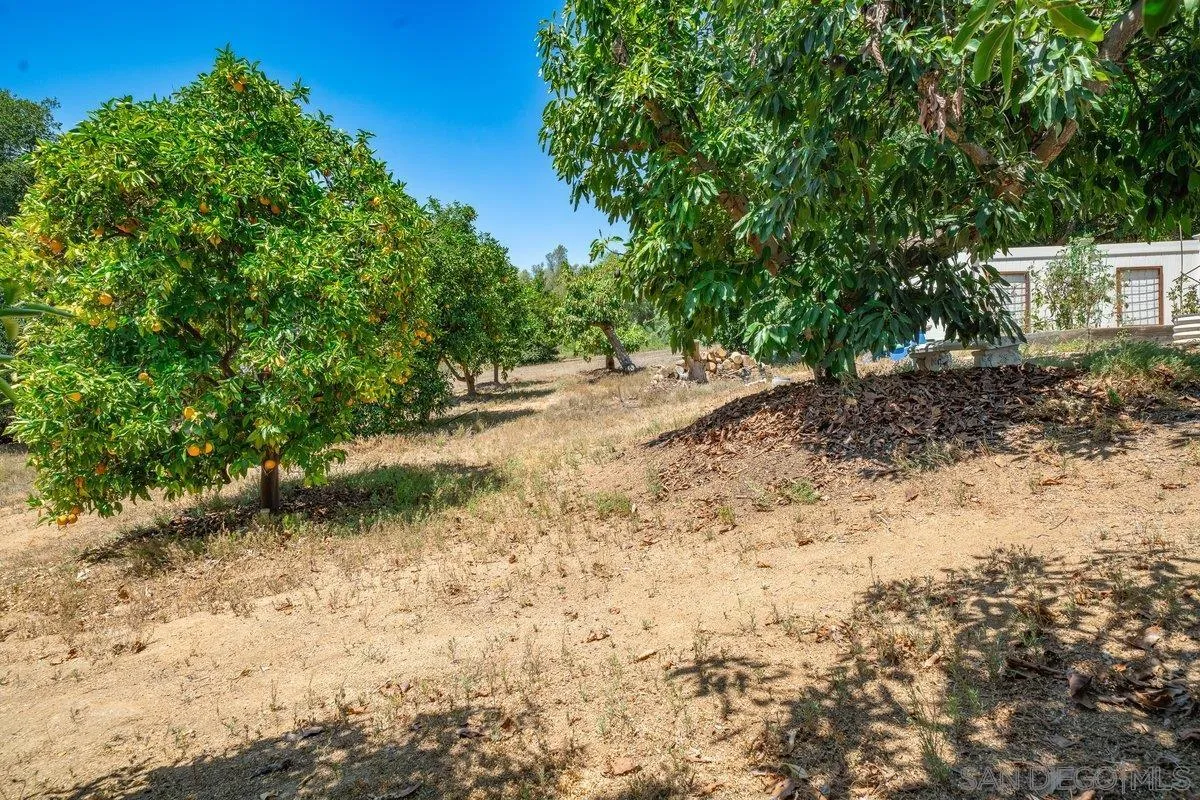 https://cdn.realtyfeed.com/cdn/127/250034645/1cdb22ab8a4005c14ff33f0e154db6b6.webp