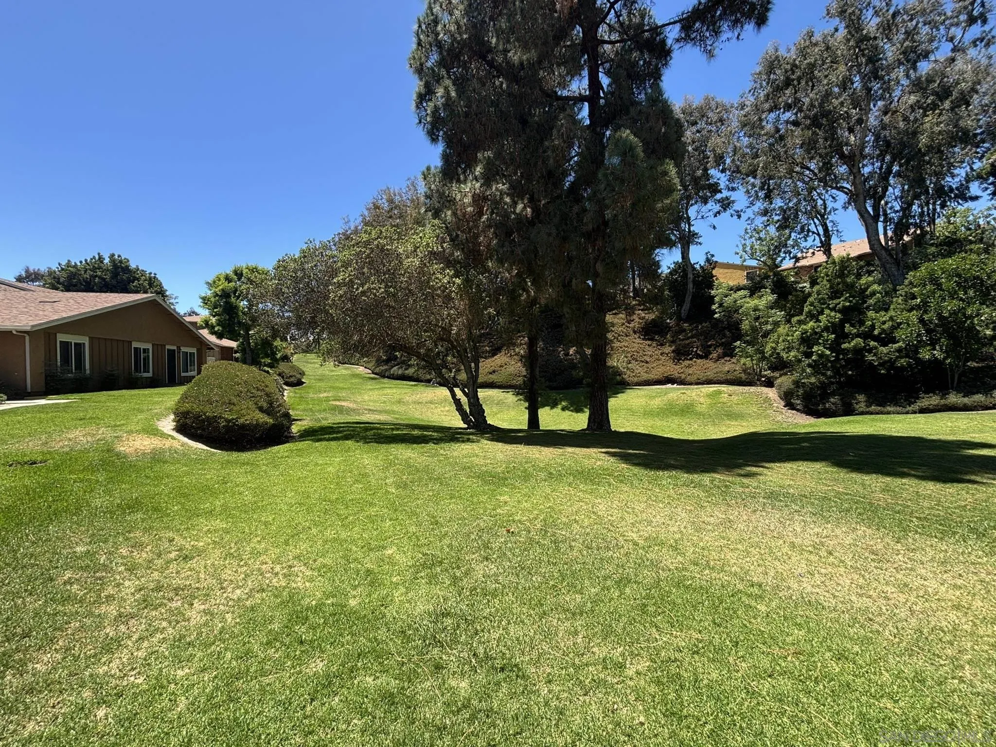 Photo #5: 250034655 Listing 
