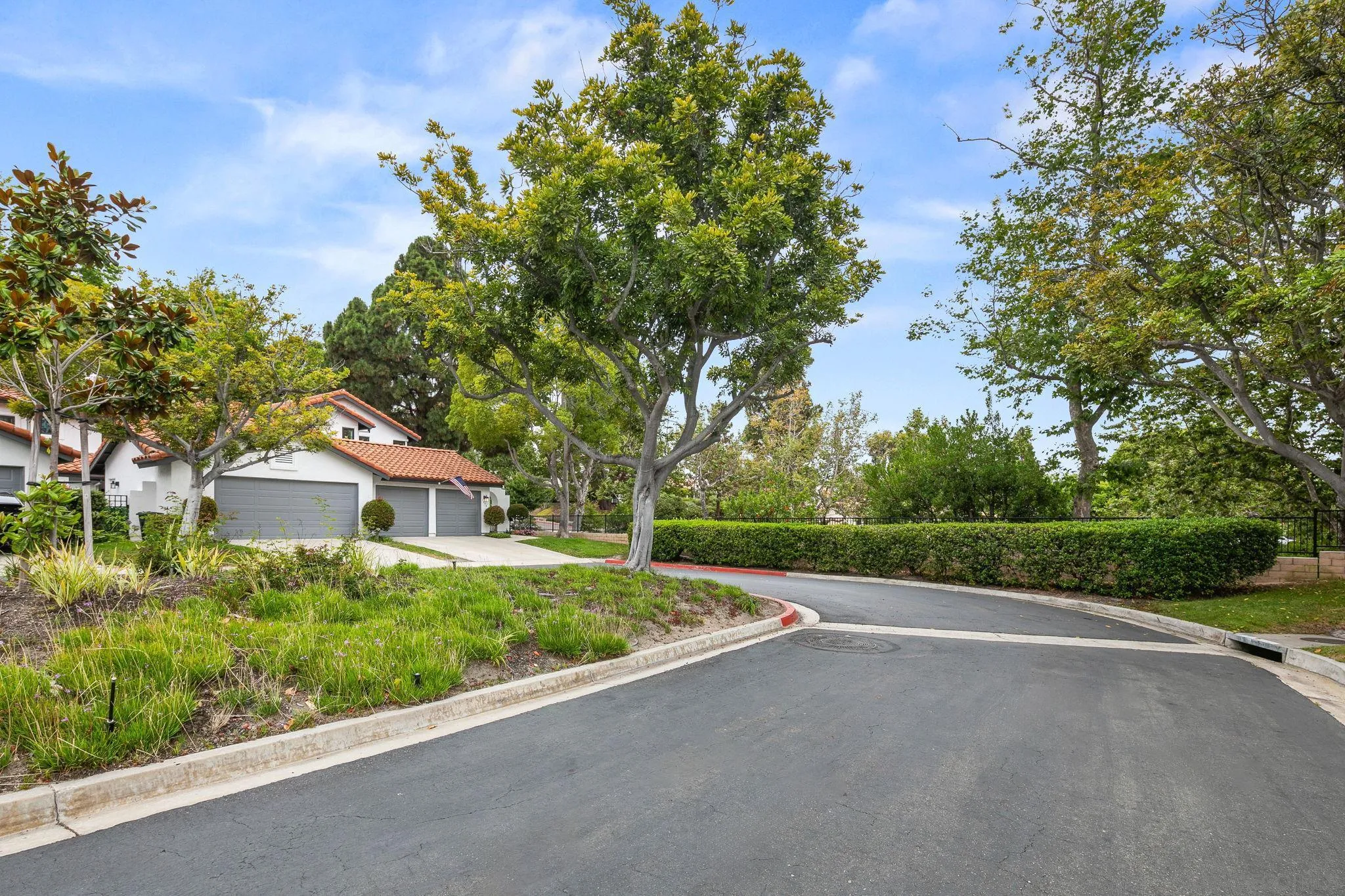 Photo #41: 250034673 Listing: Photo #41