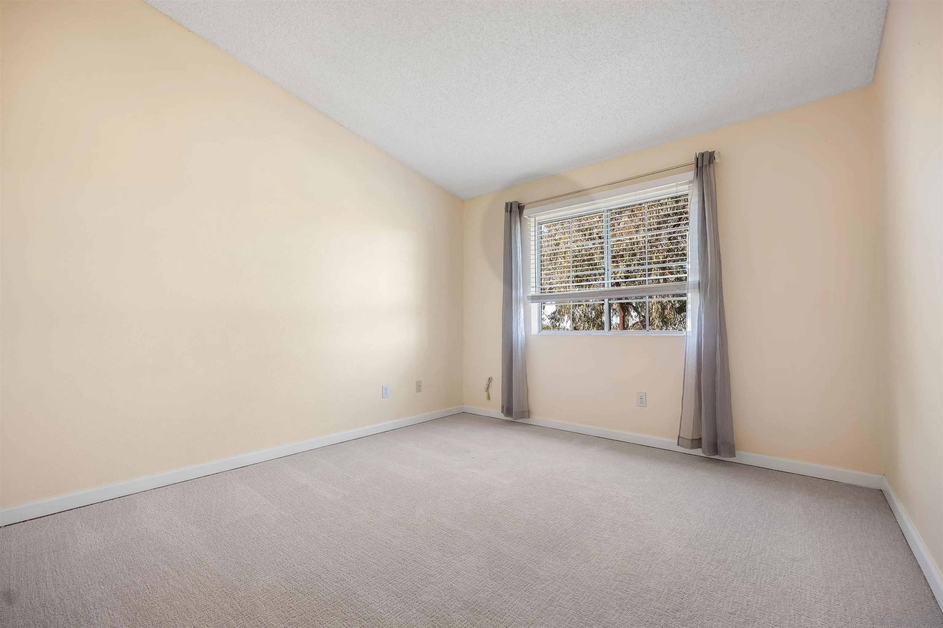 Photo #28: 250034702 Listing: Photo #28