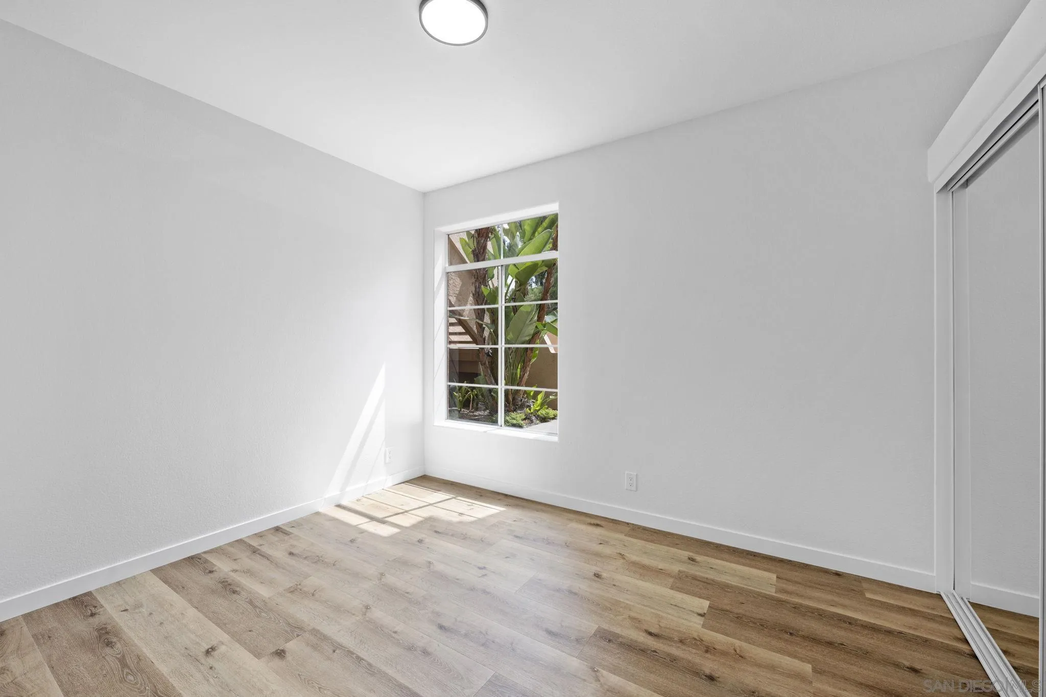 Photo #17: 250034733 Listing: Photo #17