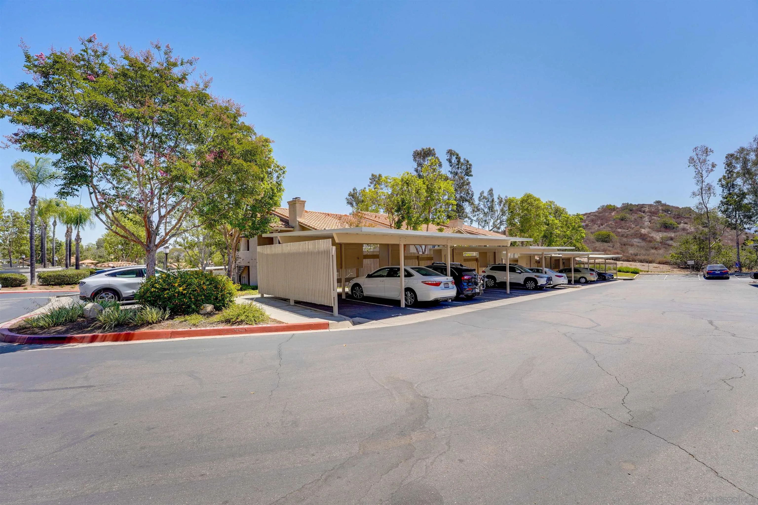 Photo #31: 250034789 Listing: Photo #31