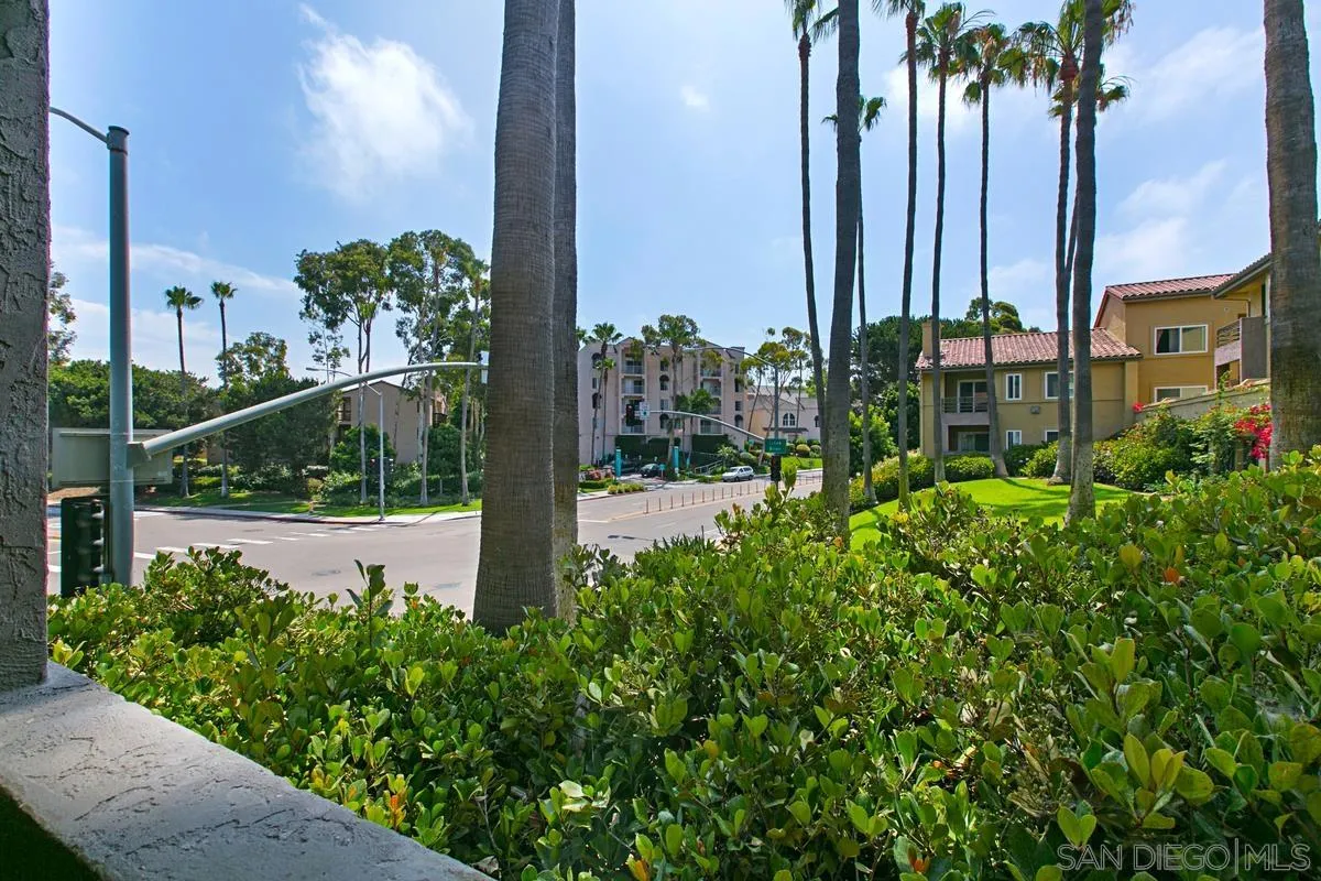 Photo #29: 250034881 Listing: Photo #29