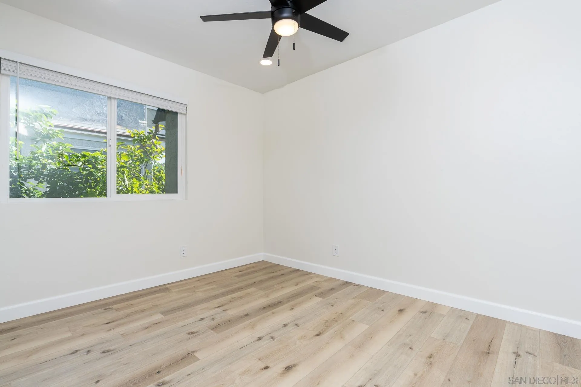 Photo #16: 250034926 Listing: Photo #16