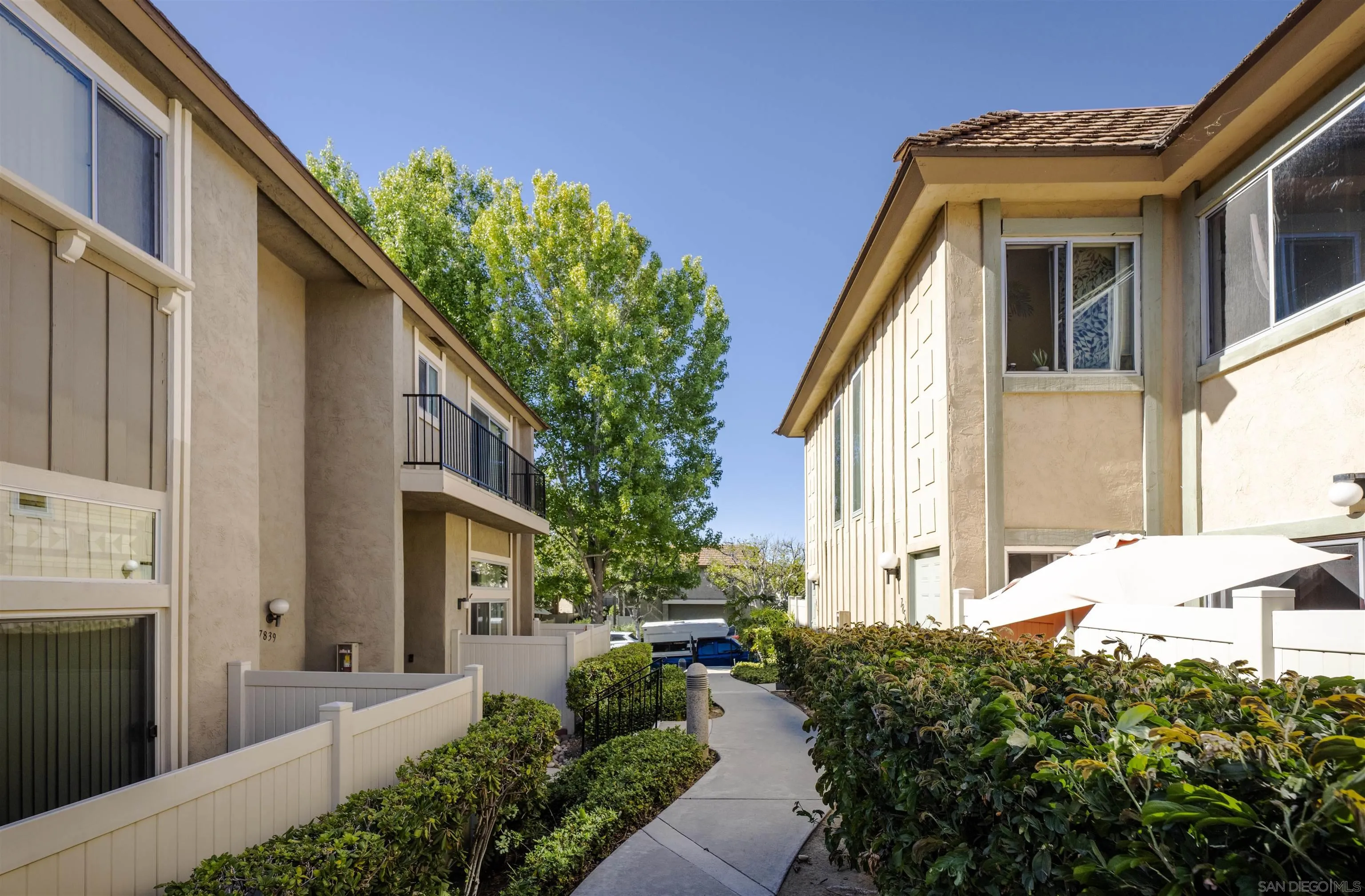 Photo #3: 250034939 Listing 