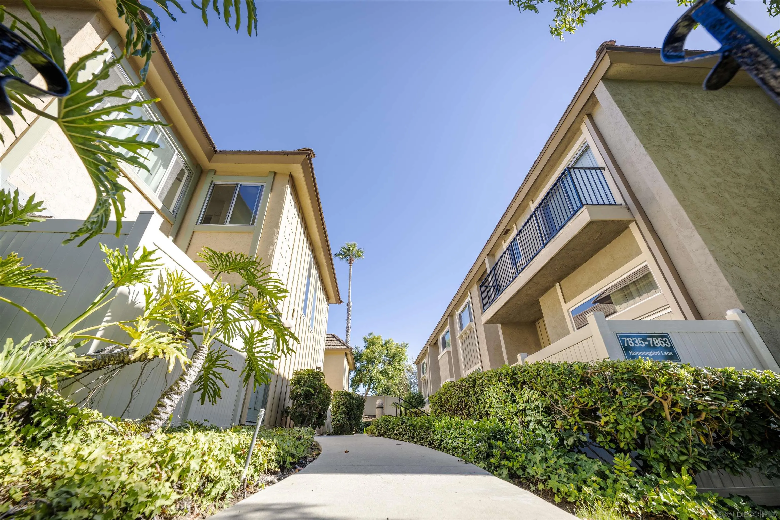 Photo #2: 250034939 Listing 