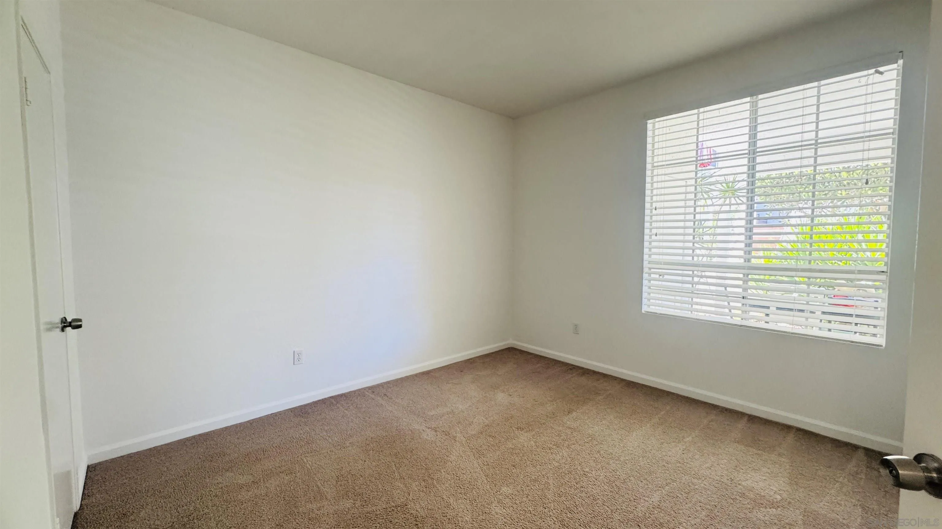 Photo #13: 250034946 Listing: Photo #13
