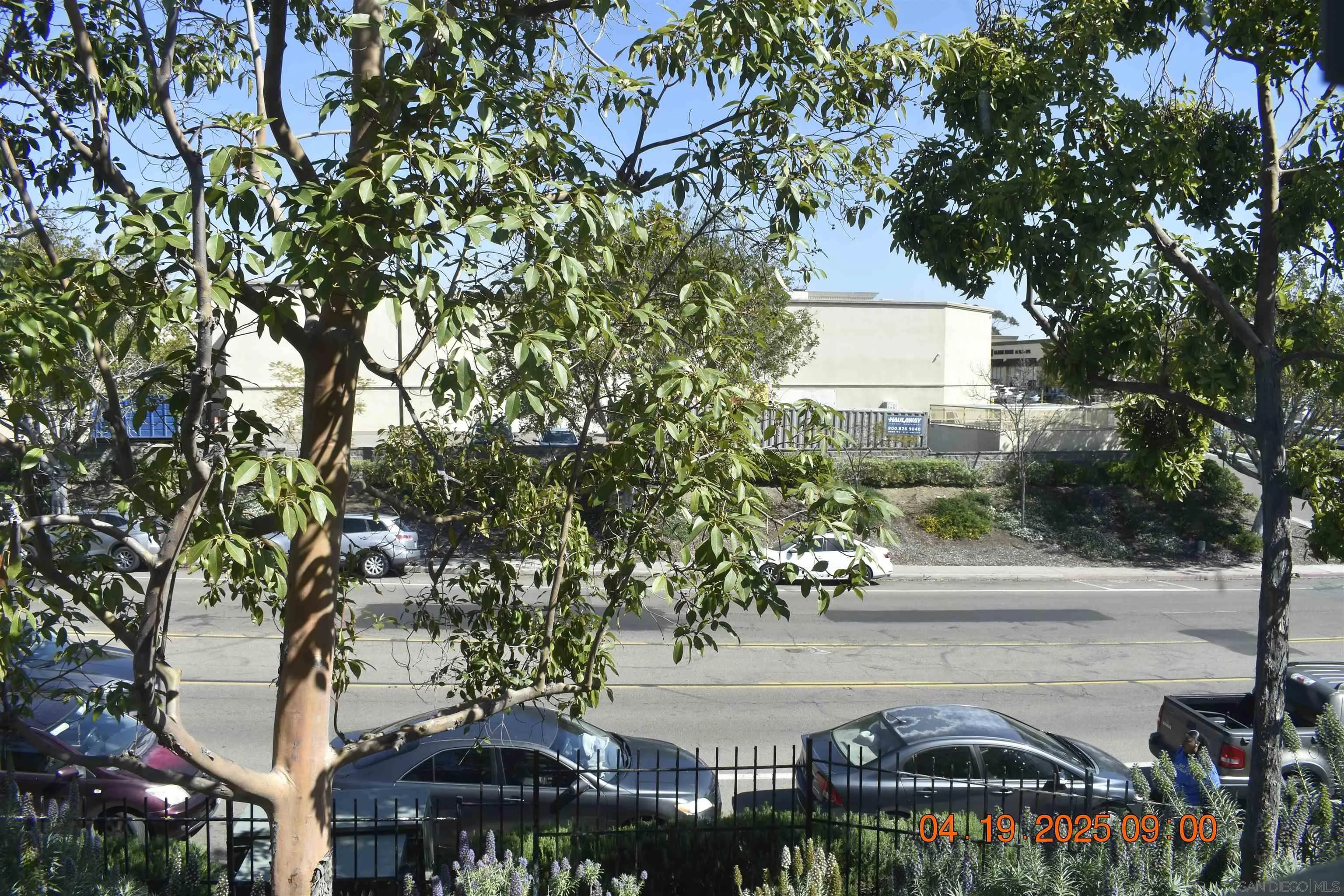 Photo #13: 250034948 Listing: Photo #13