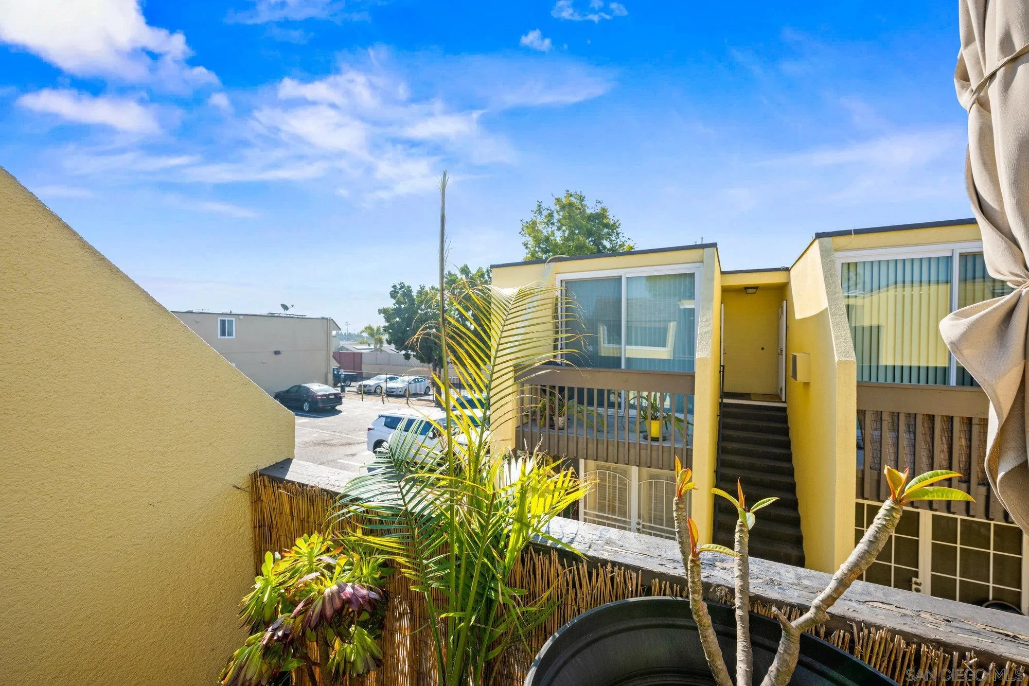 Photo #5: 250034969 Listing 