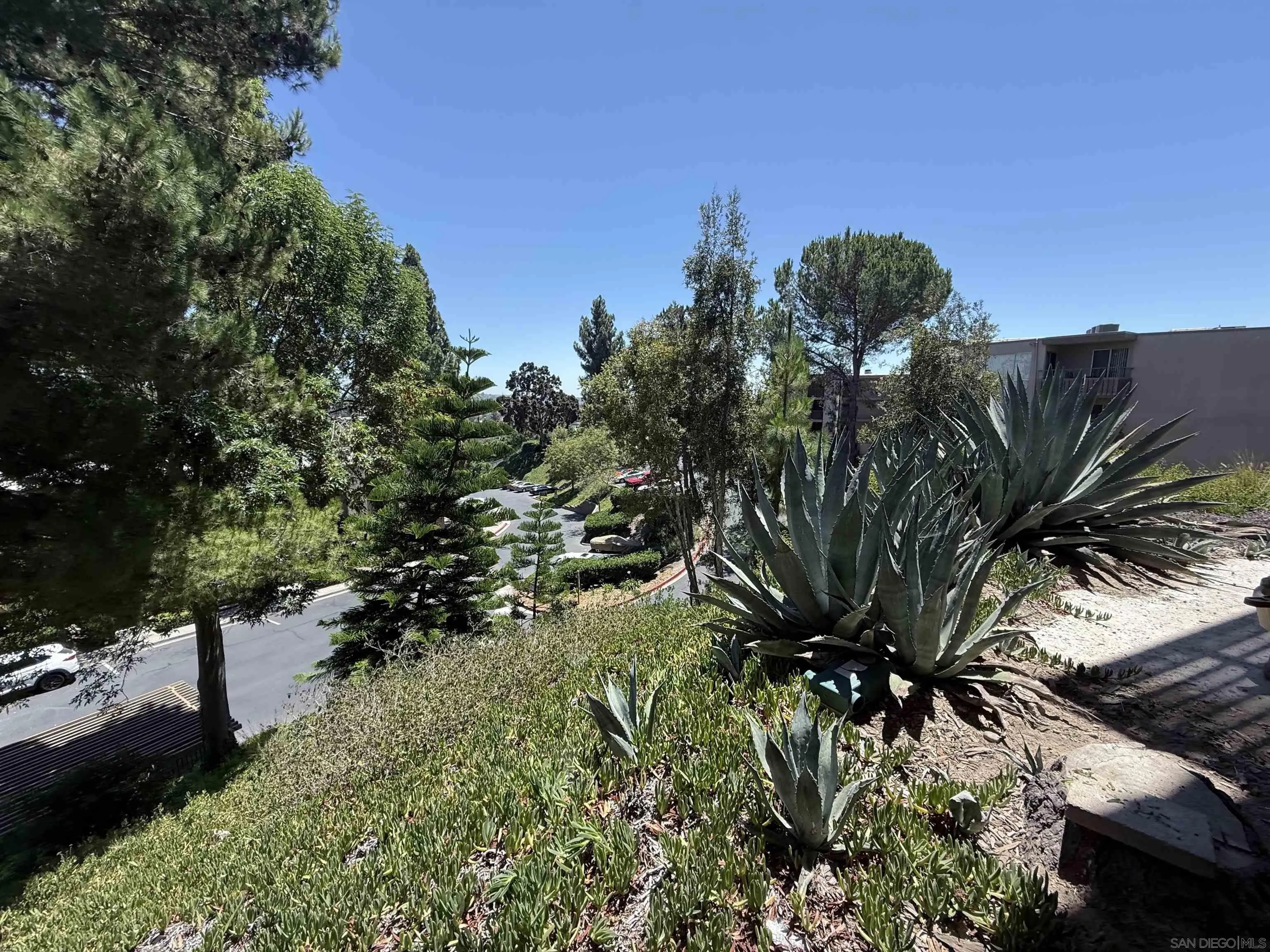 Photo #4: 250035023 Listing 