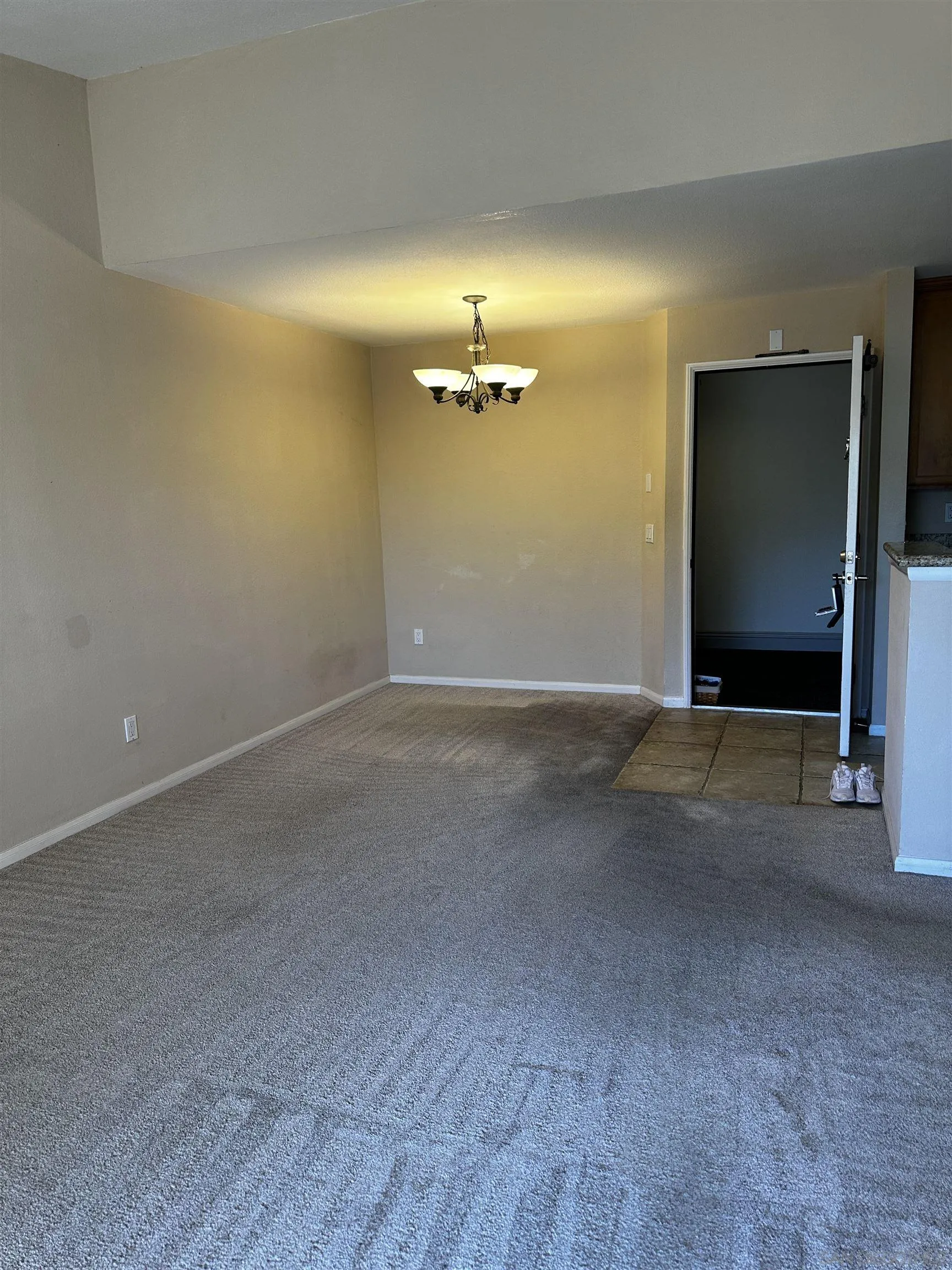 Photo #17: 250035025 Listing: Photo #17