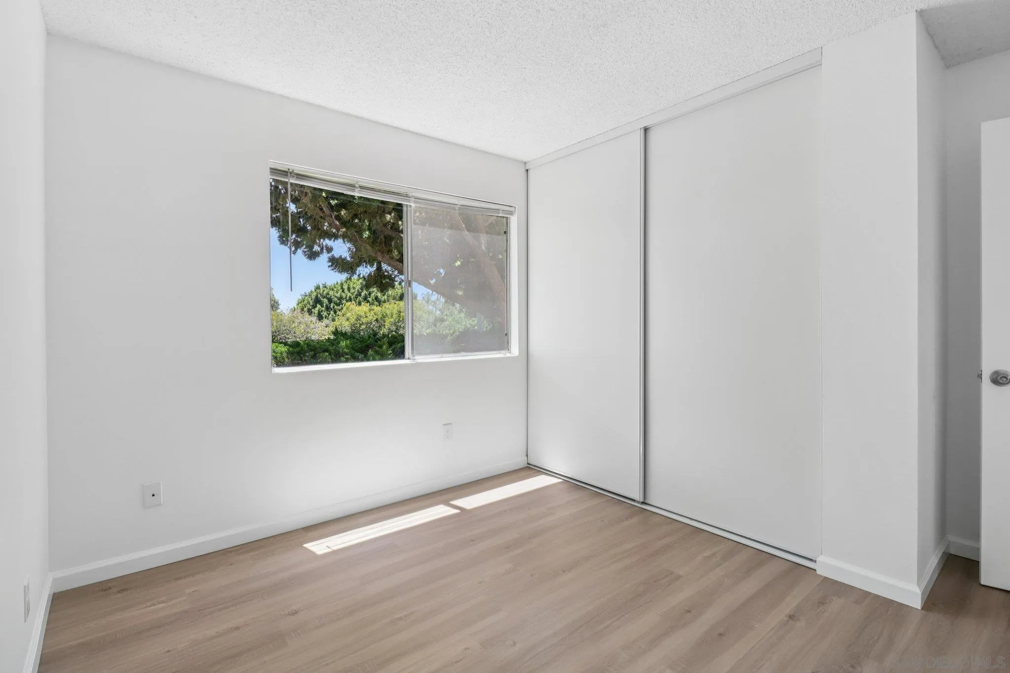 Photo #31: 250035112 Listing: Photo #31