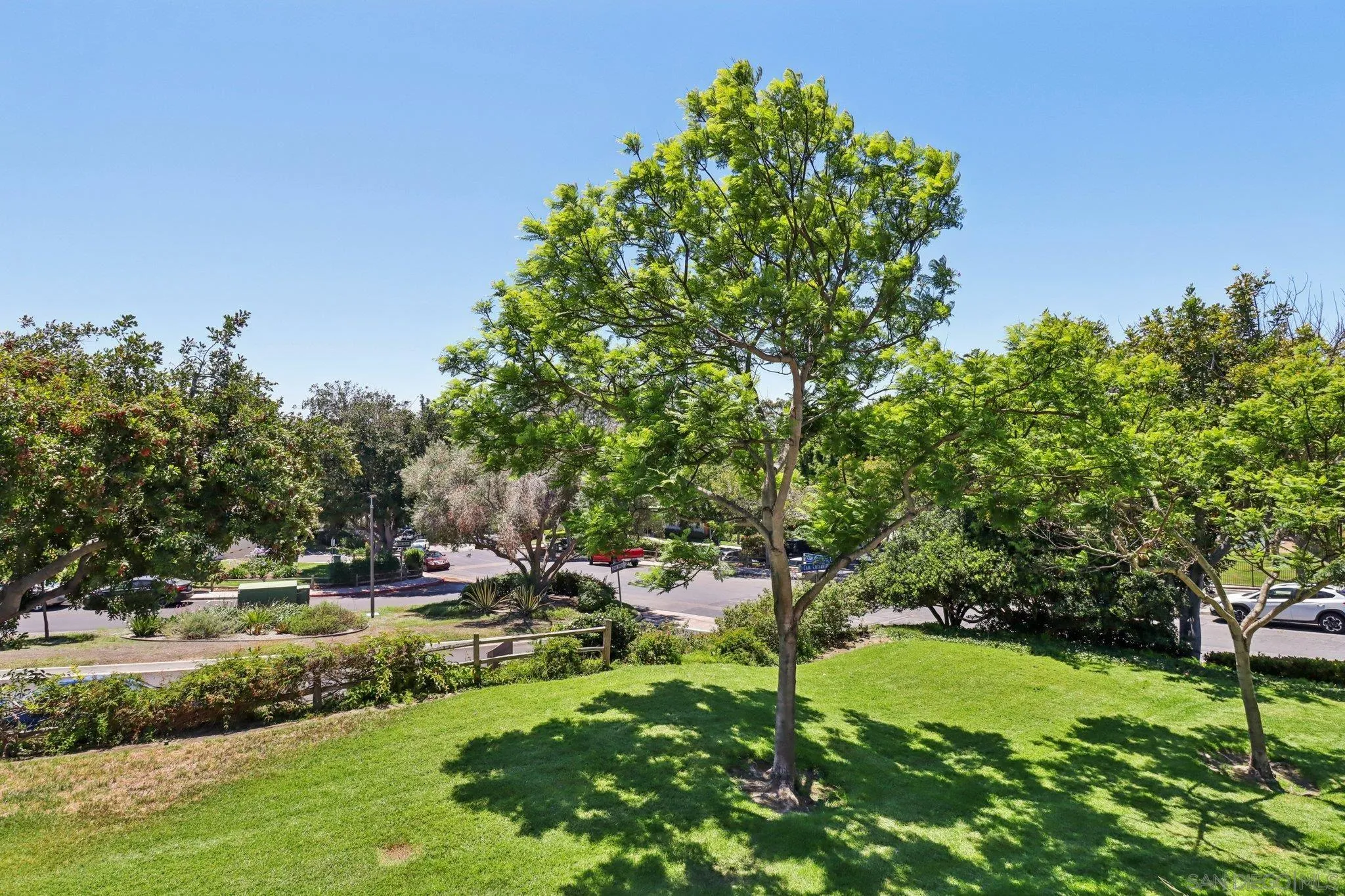 Photo #6: 250035112 Listing 