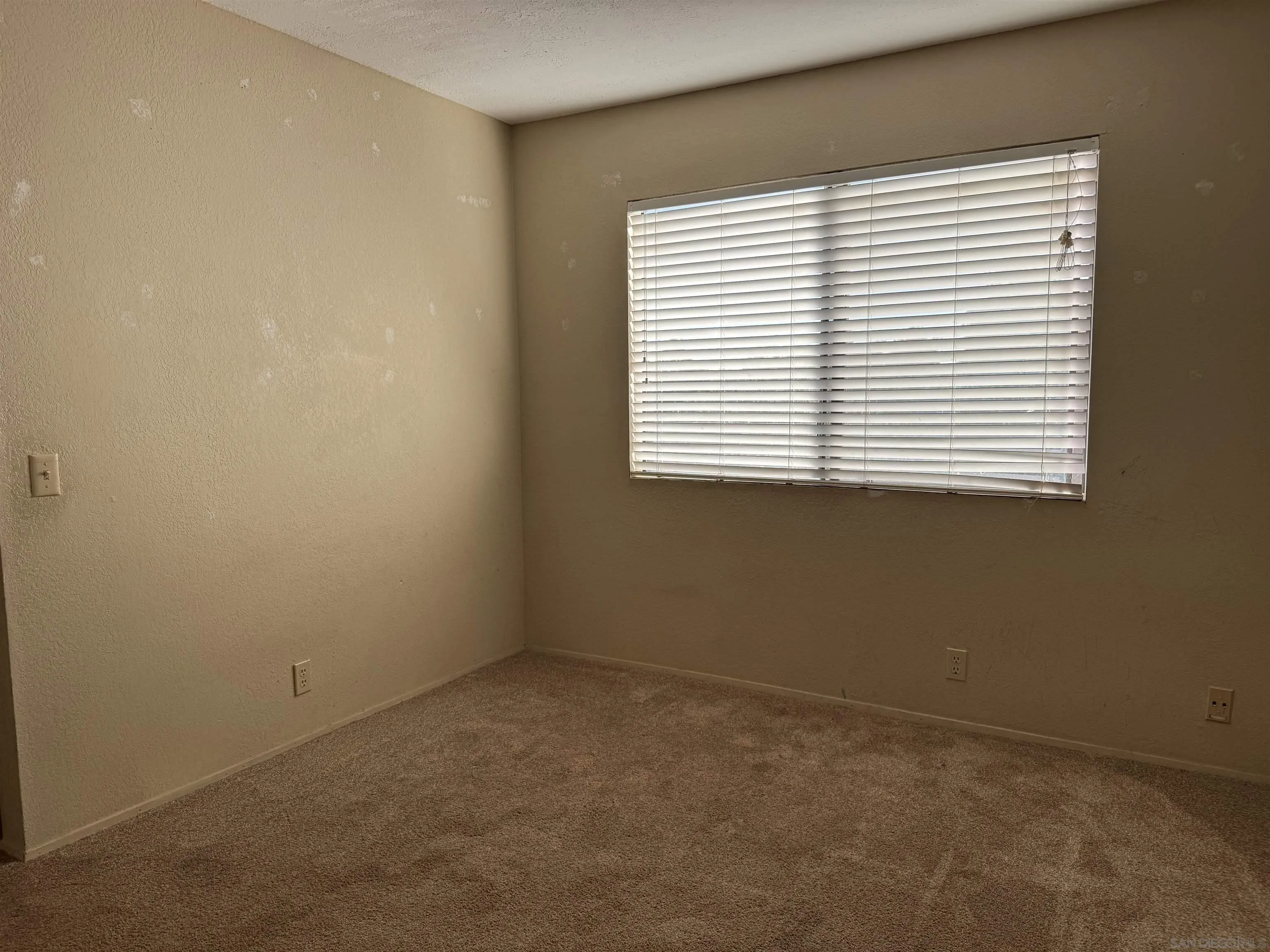 Photo #18: 250035113 Listing: Photo #18