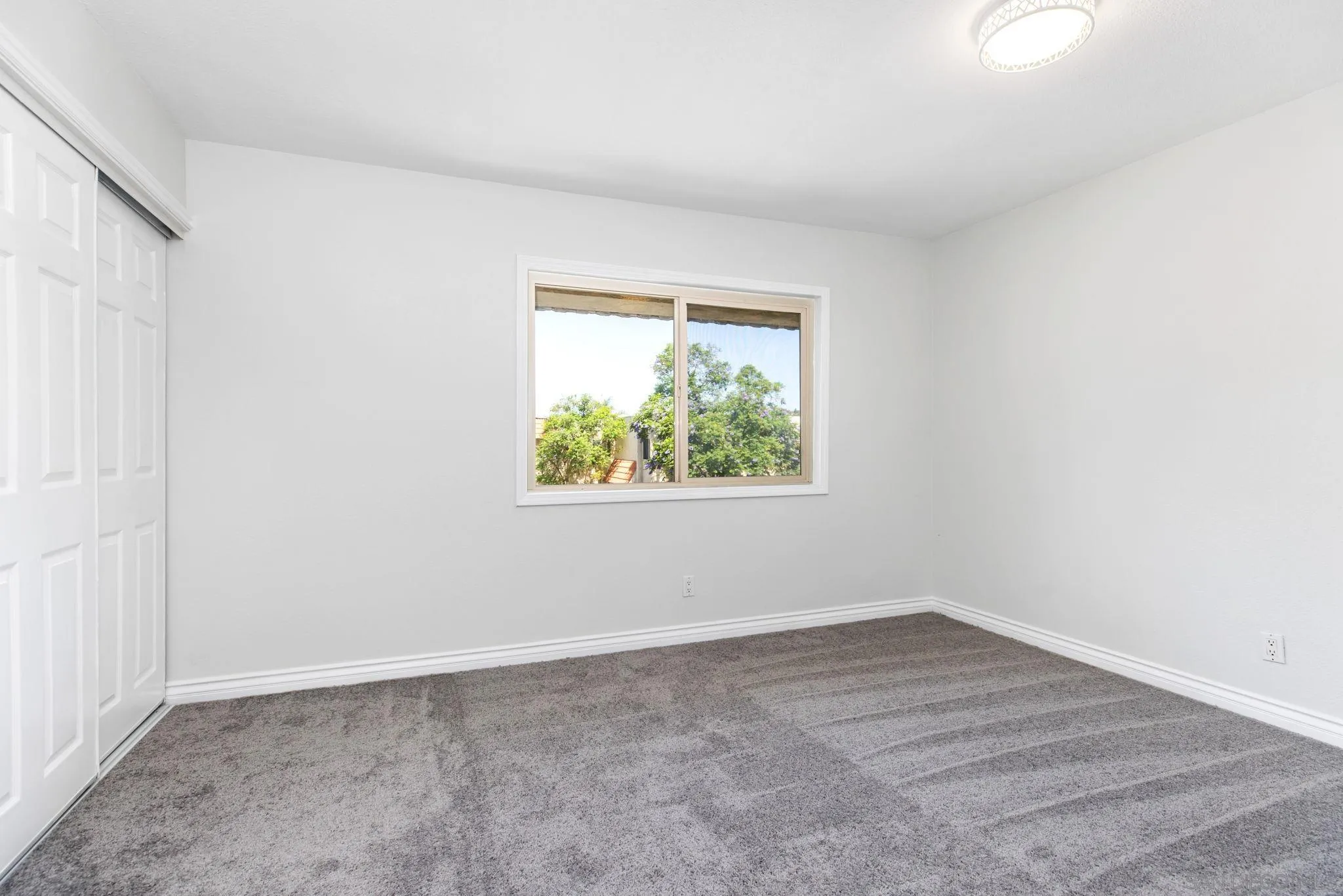 Photo #16: 250035150 Listing: Photo #16