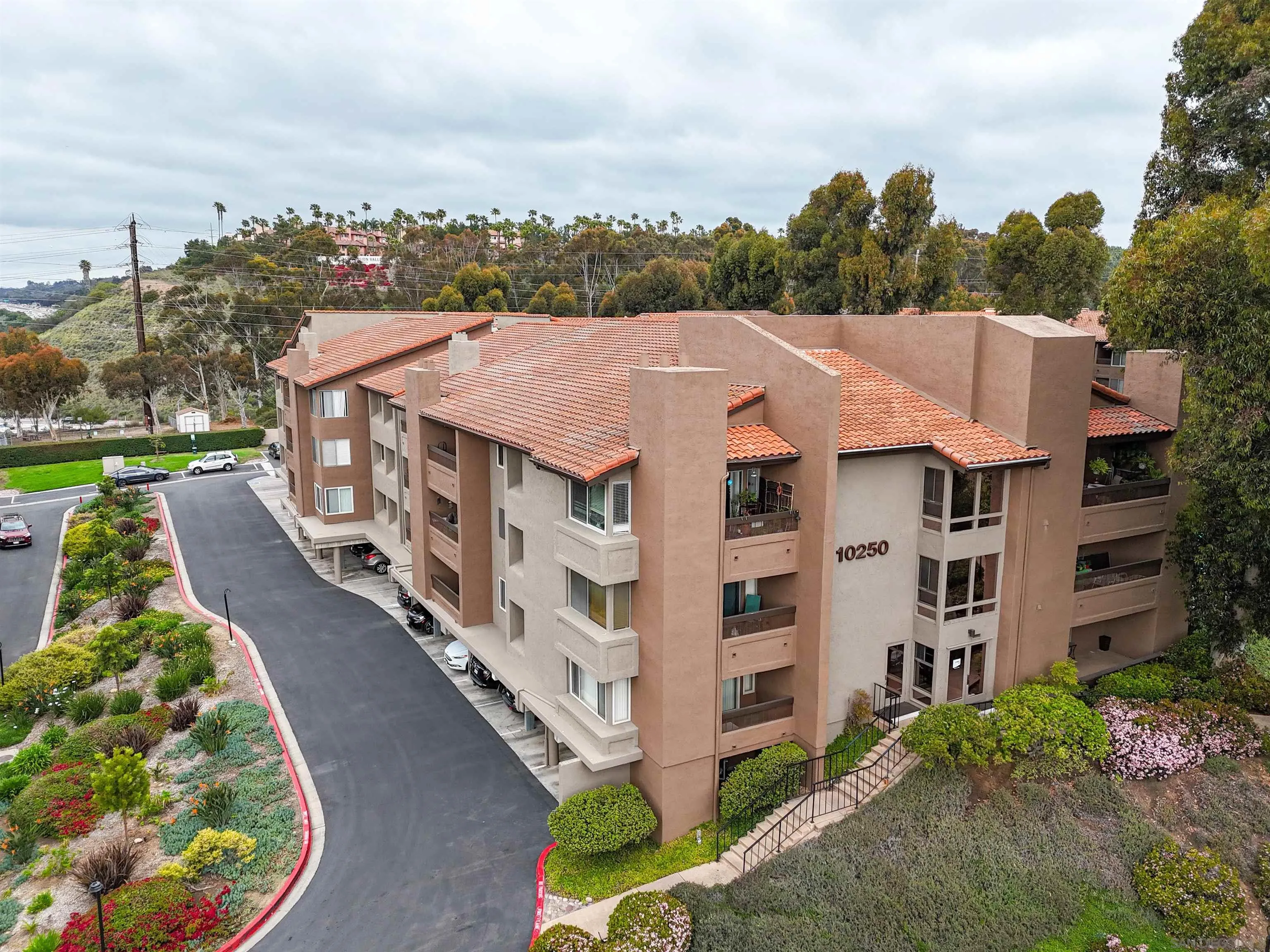Photo #38: 250035186 Listing: Photo #38