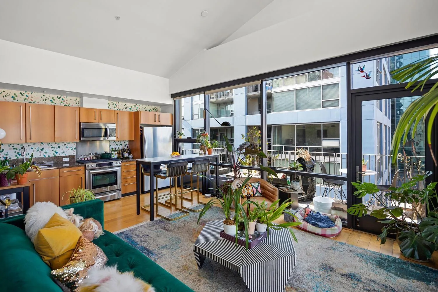 Photo #5: 250035253 Listing 