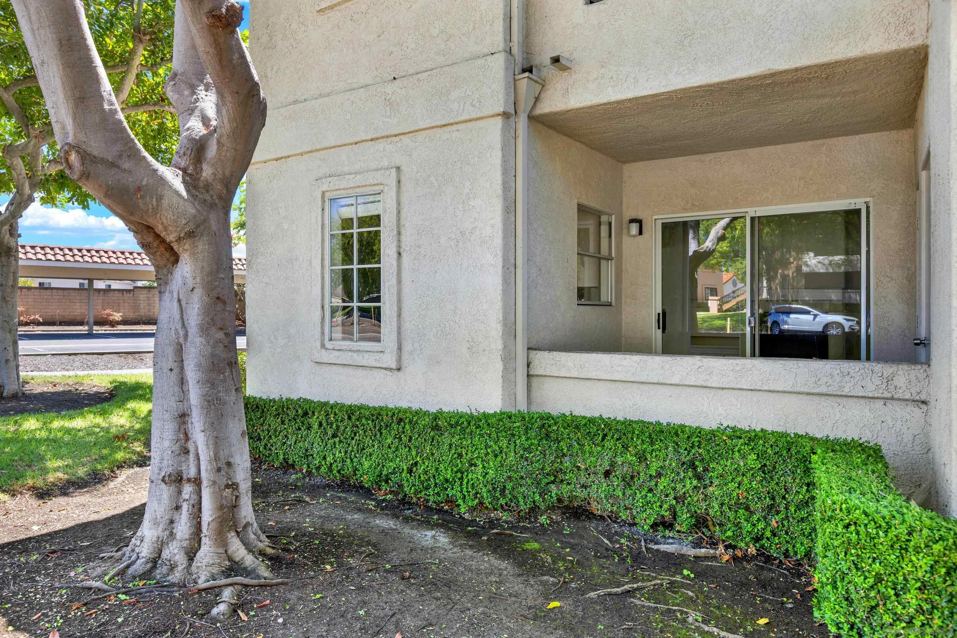 Photo #6: 250035309 Listing 