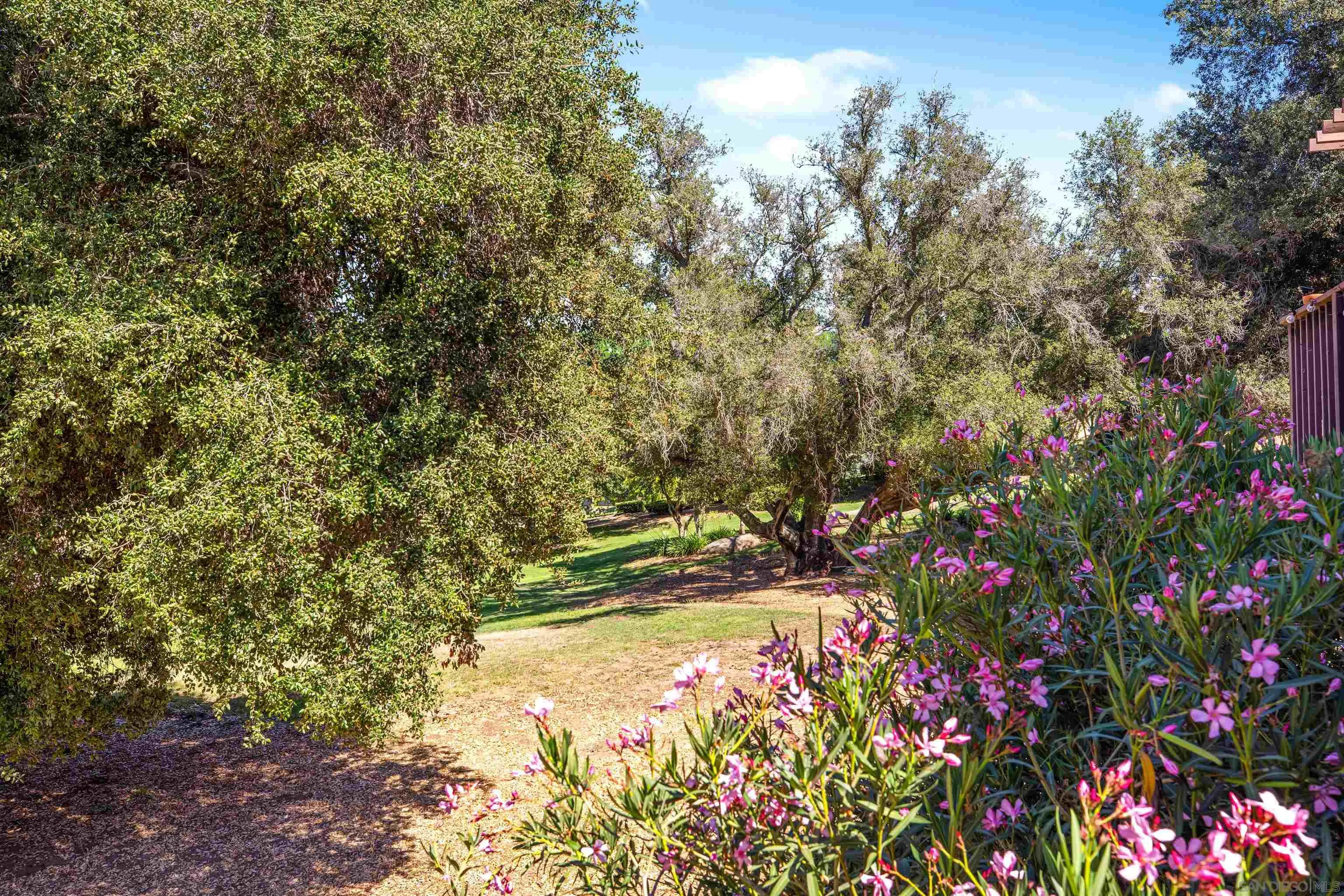 Photo #31: 250035329 Listing: Photo #31